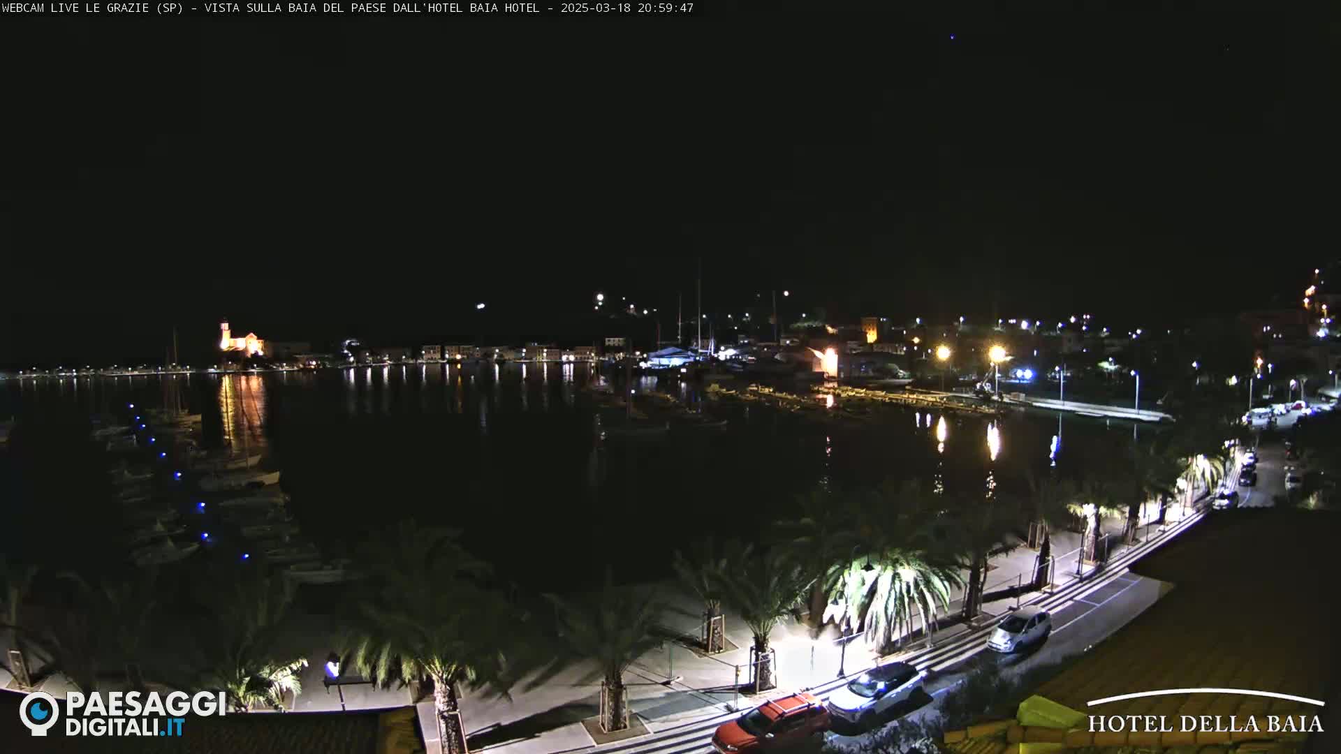 A nighttime view of a harbor with boats, palm trees lining a paved walkway, and buildings illuminated along the shoreline under a clear, dark sky.