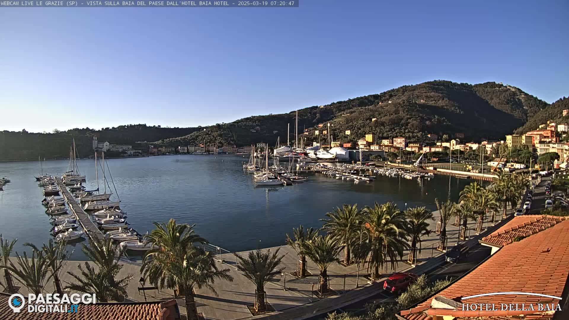 A calm harbor filled with sailboats is nestled below a hillside town, under a clear blue sky.