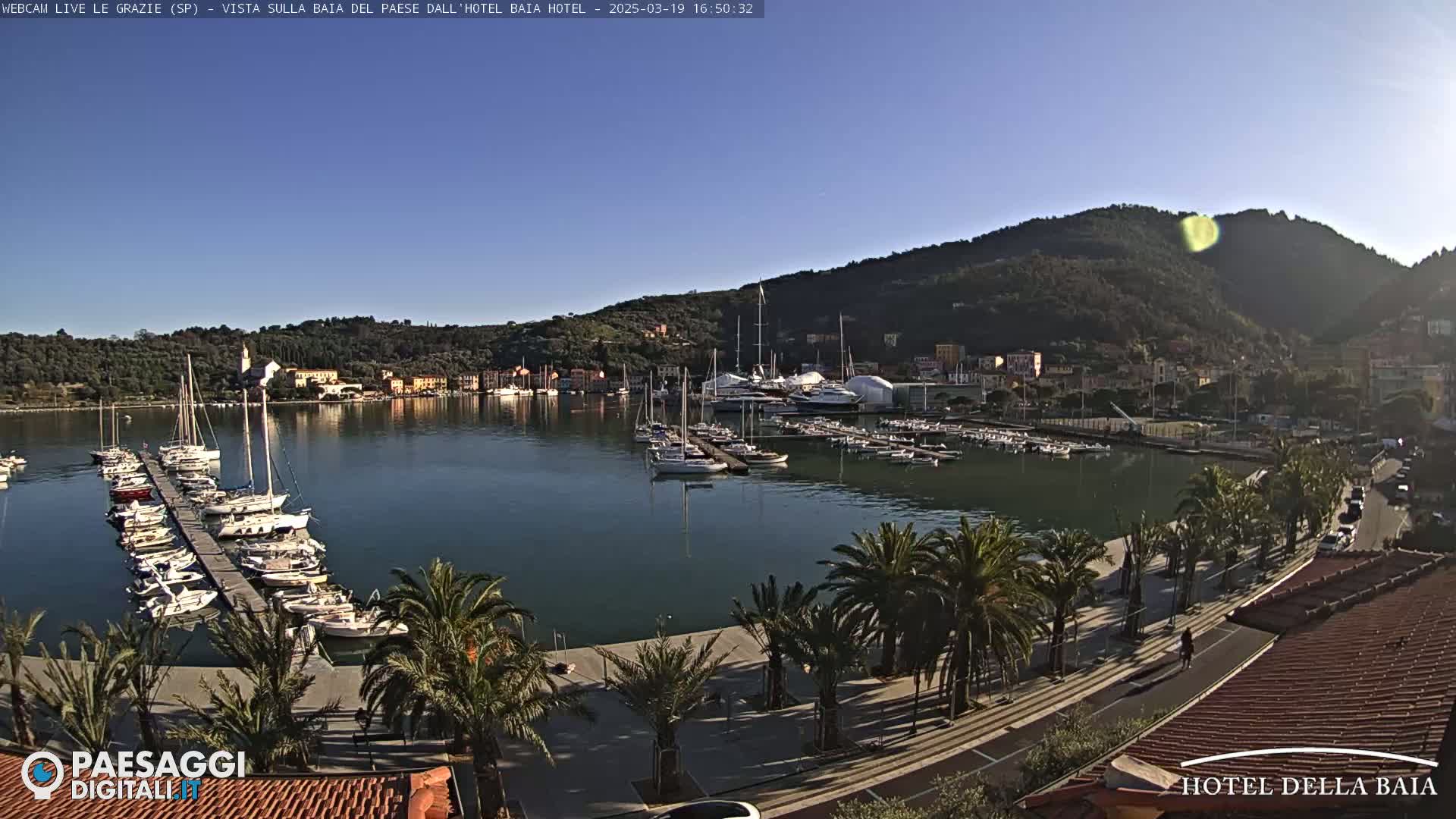 A harbor filled with boats is nestled below a hillside town, under a clear blue sky.