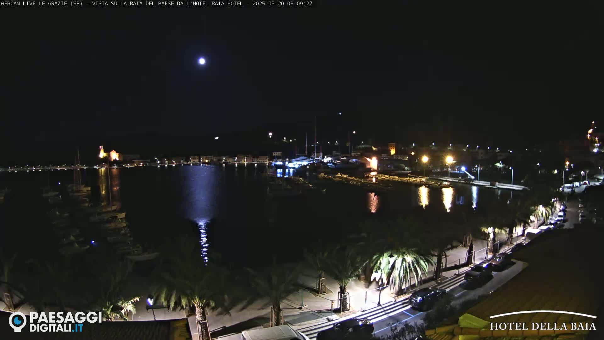 A nighttime view of a calm harbor with boats and a town illuminated along the waterfront under a clear, moonlit sky.