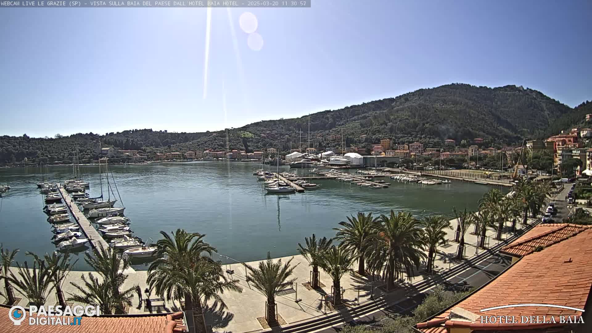 A sunny day overlooks a harbor filled with boats, a waterfront promenade lined with palm trees, and a hillside town nestled against a mountain.