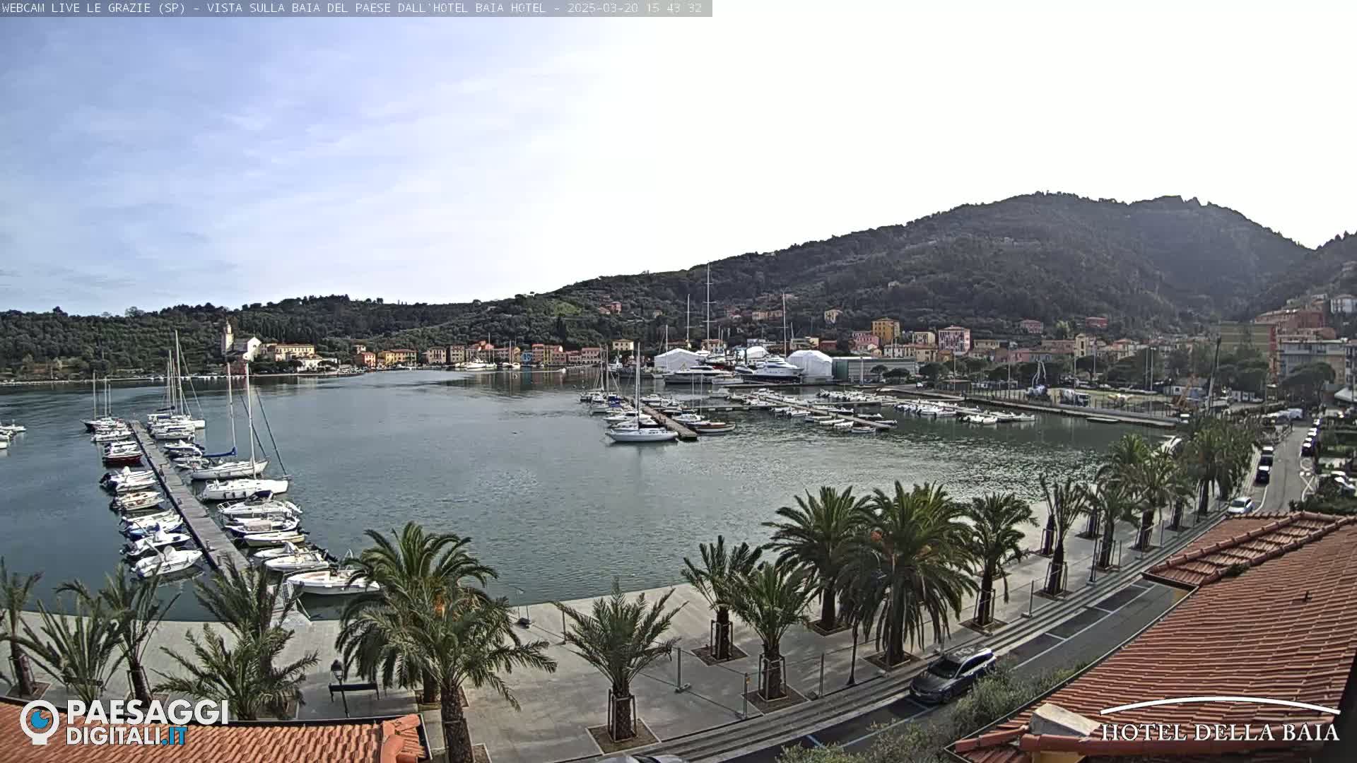 A harbor filled with sailboats and yachts is situated below a hillside town under a mostly clear sky.