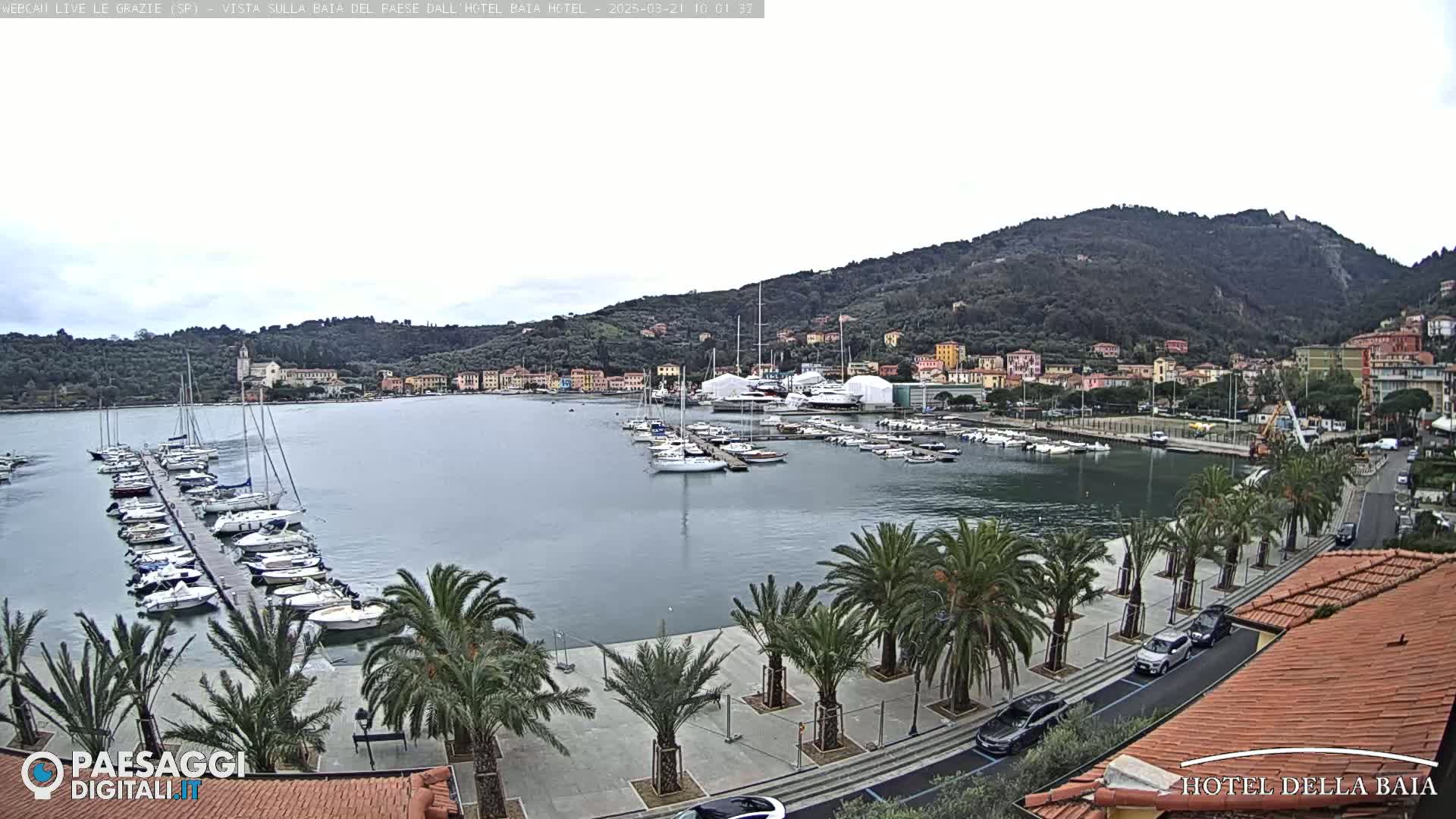 A harbor filled with sailboats and yachts is situated below a hillside town under an overcast sky.