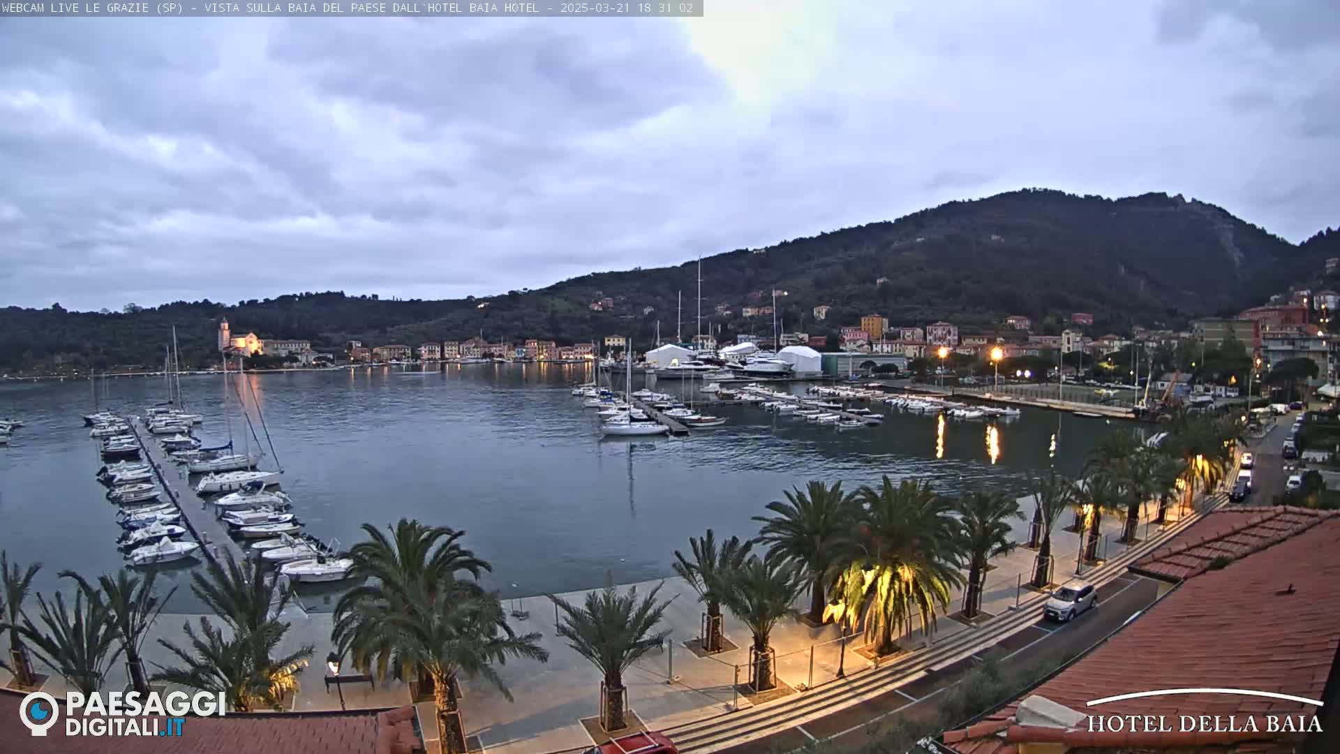 A harbor filled with sailboats is situated at the base of a hill dotted with buildings, under a twilight sky.