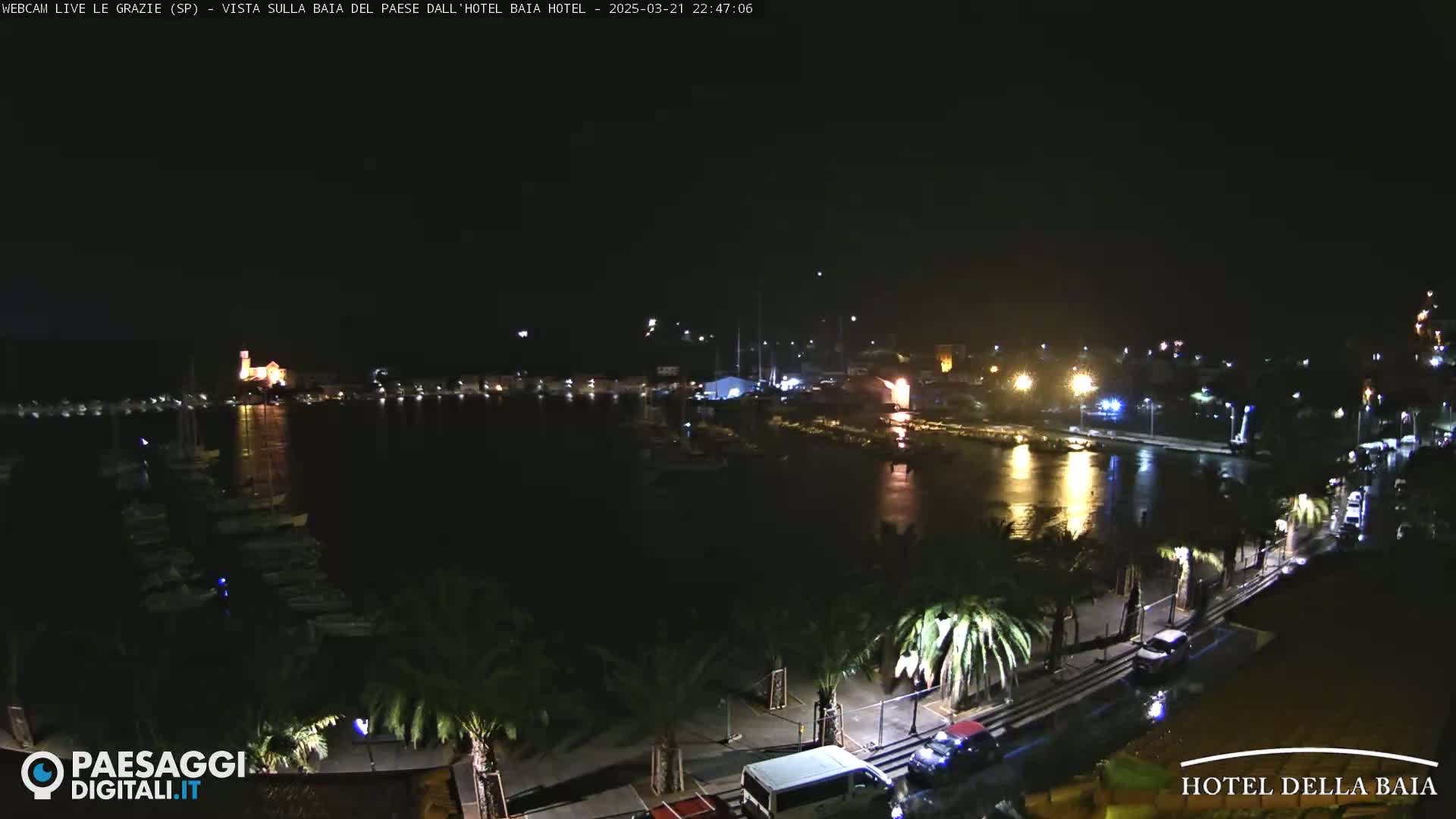 A nighttime view of a harbor with boats, lit buildings, and palm trees lining a waterfront road under a clear, dark sky.