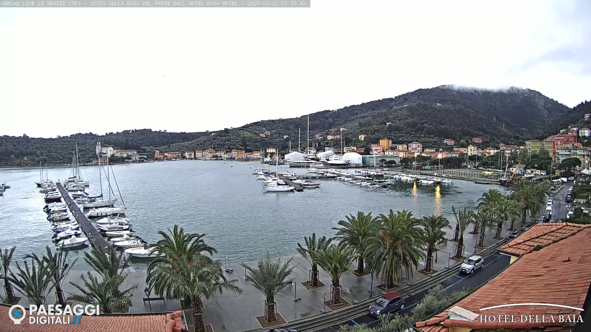 A harbor filled with sailboats is seen from an elevated vantage point, with a town nestled against a hillside shrouded in fog under an overcast sky.