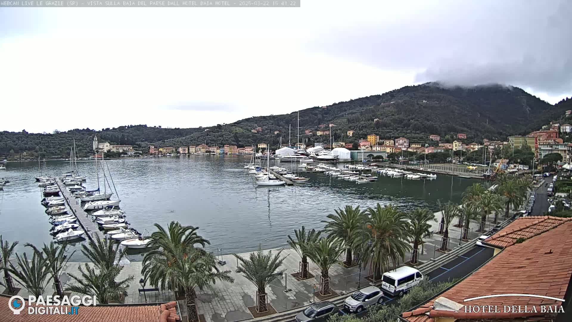 A harbor filled with sailboats is seen from an elevated viewpoint on an overcast day, with palm trees lining a paved walkway along the waterfront and hills covered in buildings and trees in the background.