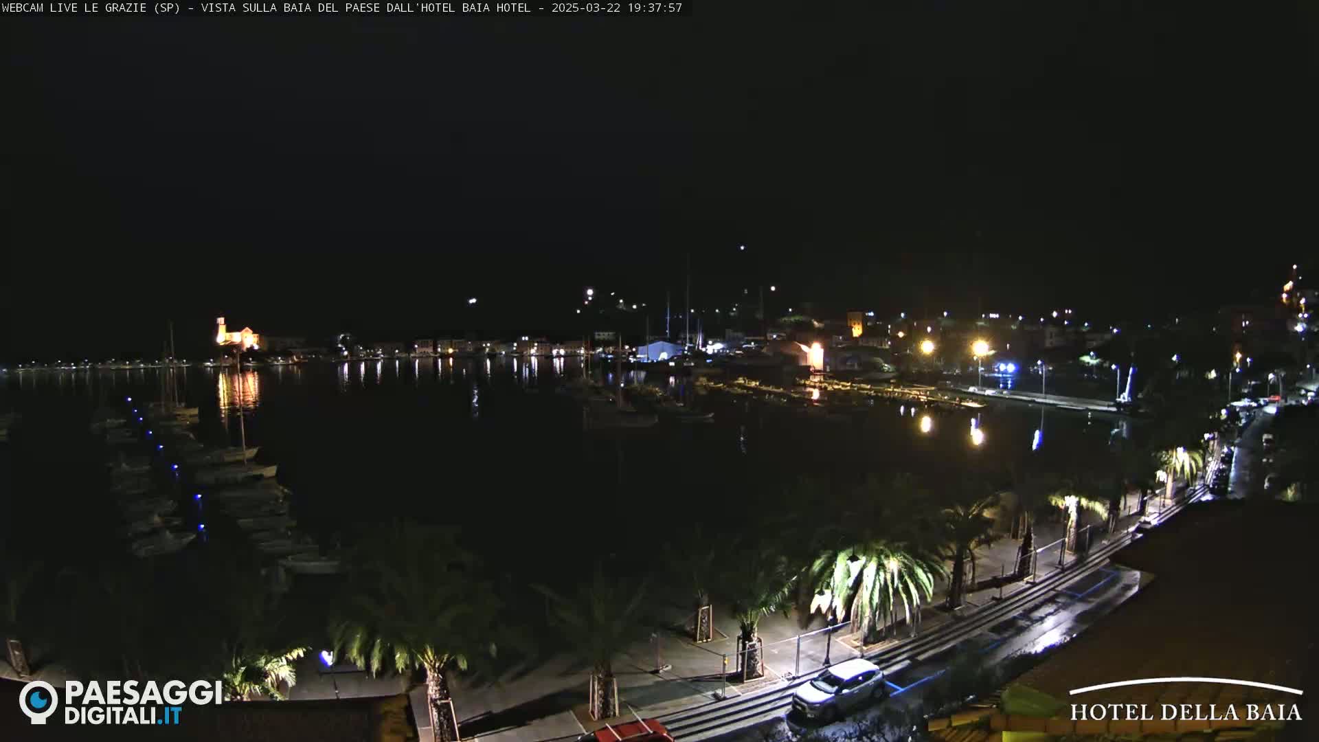 A nighttime view of a harbor filled with boats, a town with lights, and palm trees lining a waterfront road.