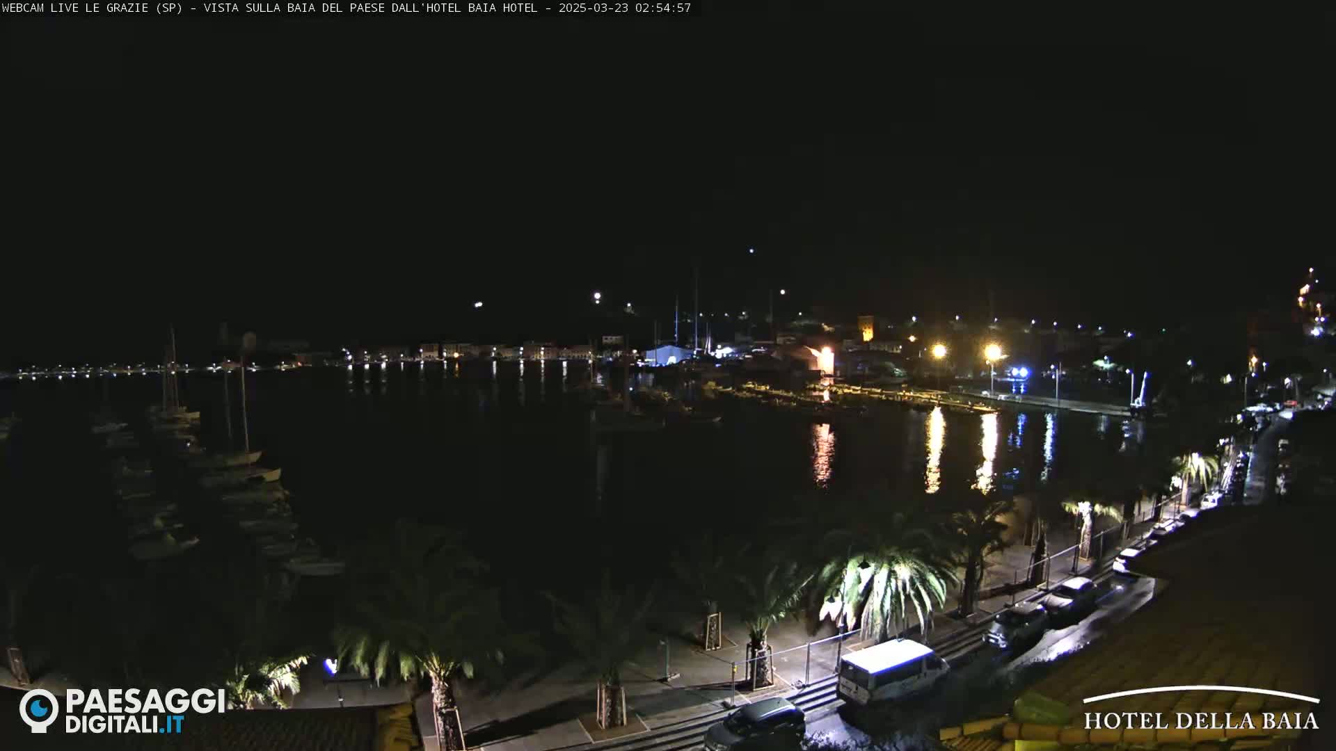 A nighttime view of a harbor with boats and a waterfront lined with palm trees under a clear, dark sky.