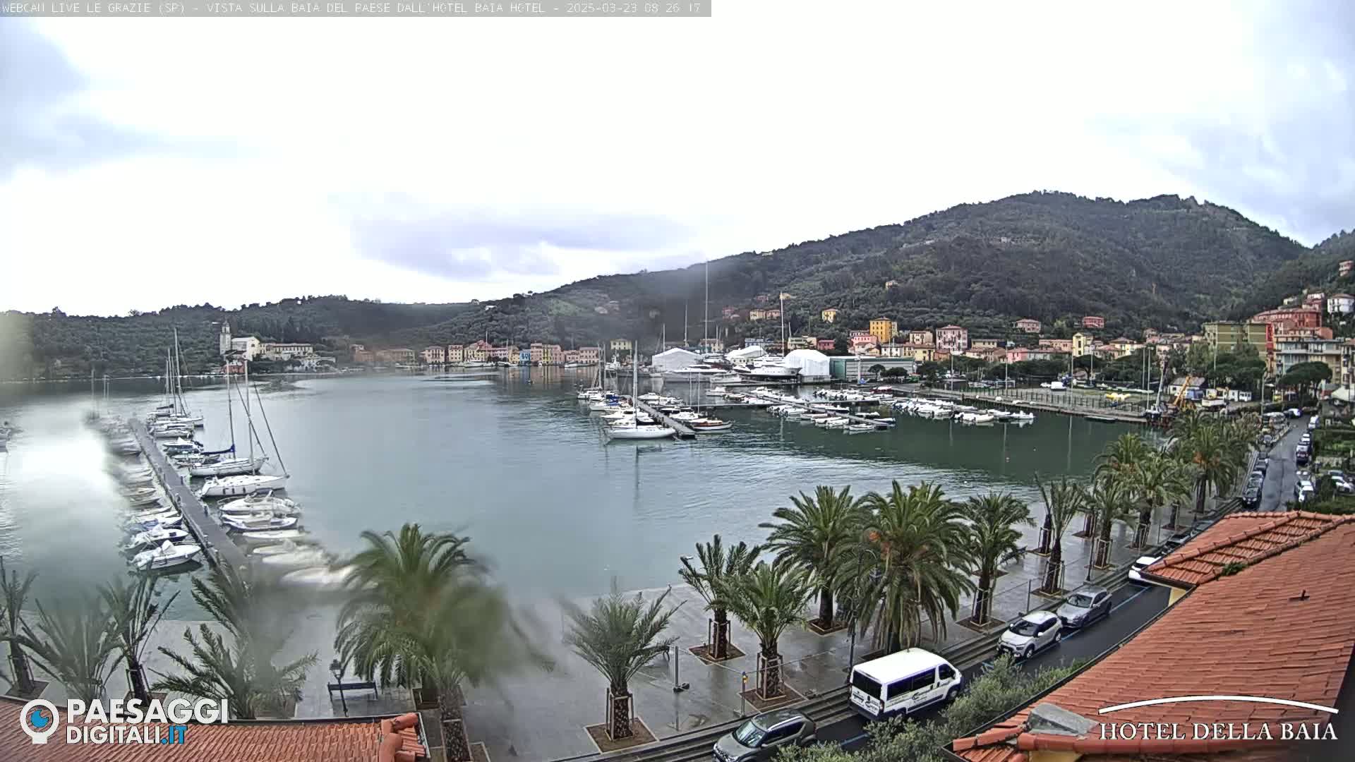 A harbor filled with sailboats and motorboats is seen under an overcast sky, with palm trees lining a waterfront road next to a hillside town.