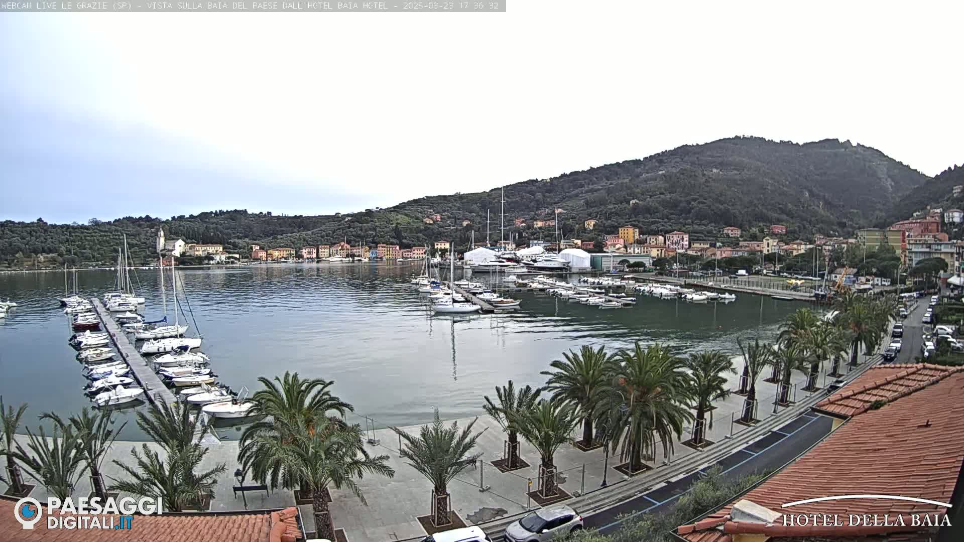 A calm bay with numerous sailboats docked at a marina, palm trees lining a paved walkway, and a hillside town in the background under an overcast sky.