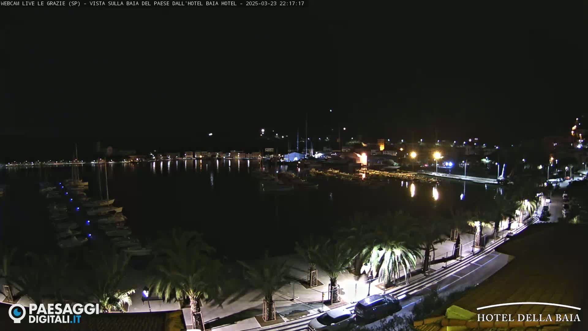 A nighttime view of a harbor filled with boats, a town with lights, and a palm tree-lined roadway.