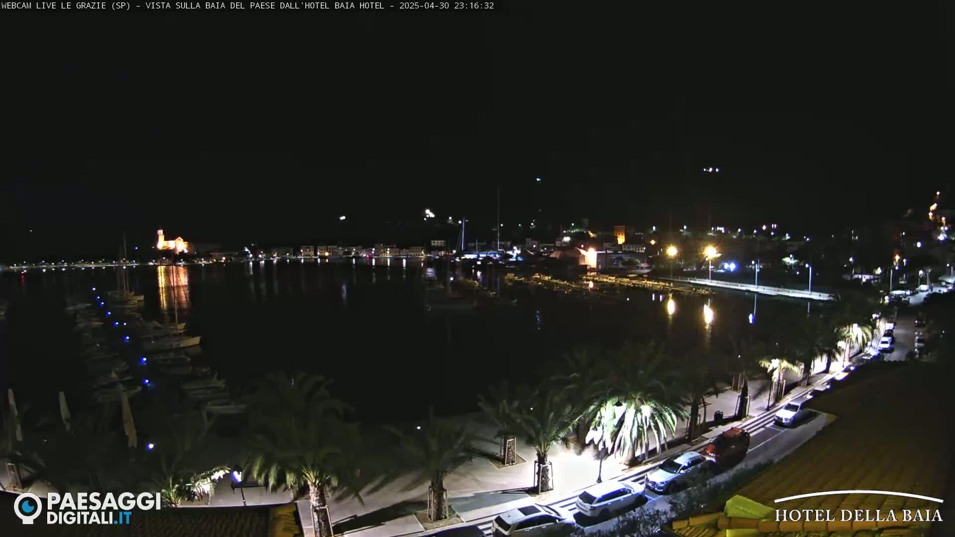 A nighttime view of a harbor, lined with palm trees and cars, across the water from a town with lights illuminated.