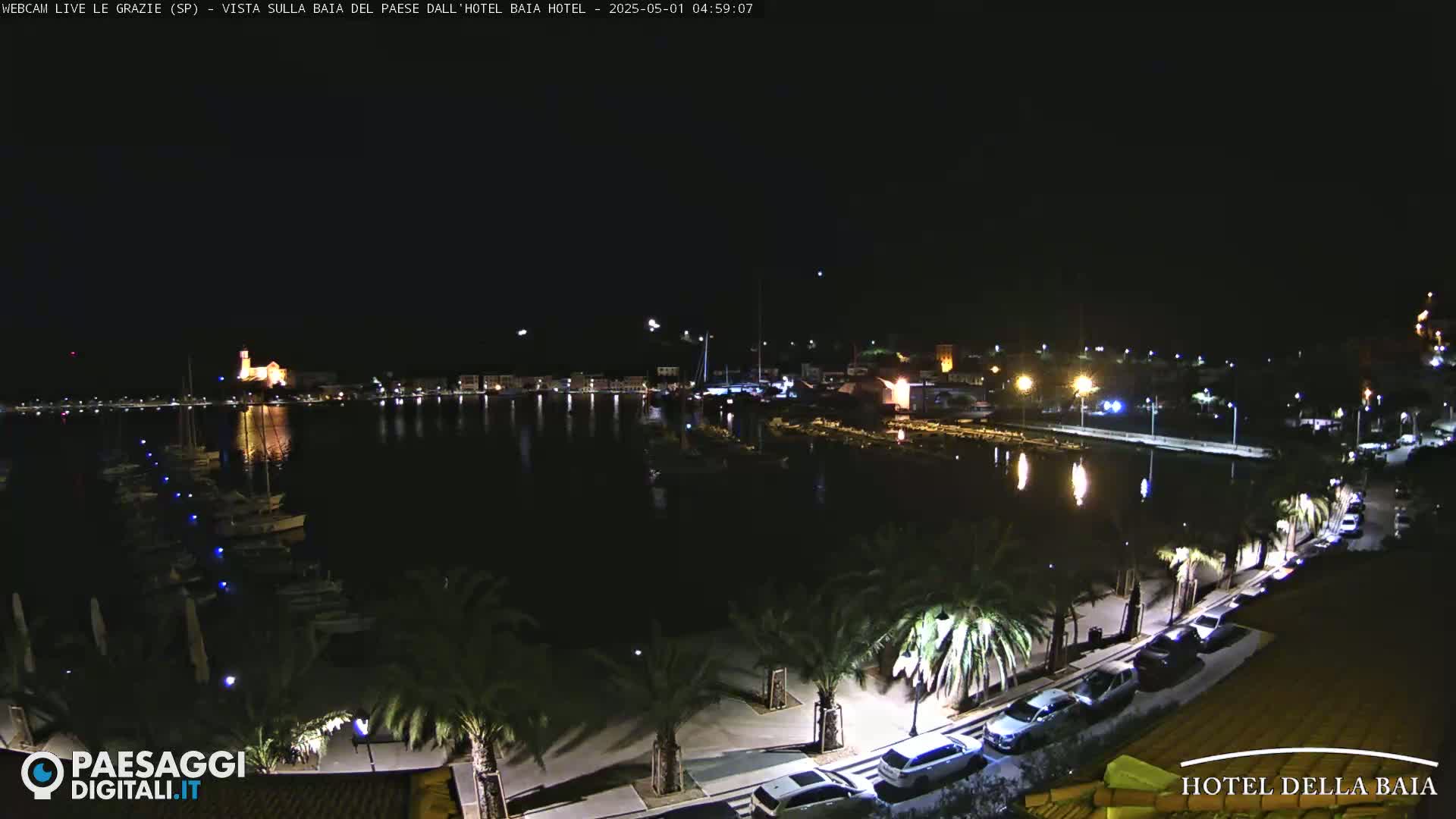 A nighttime view of a harbor with boats, palm trees lining a waterfront road with parked cars, and a town illuminated in the background.