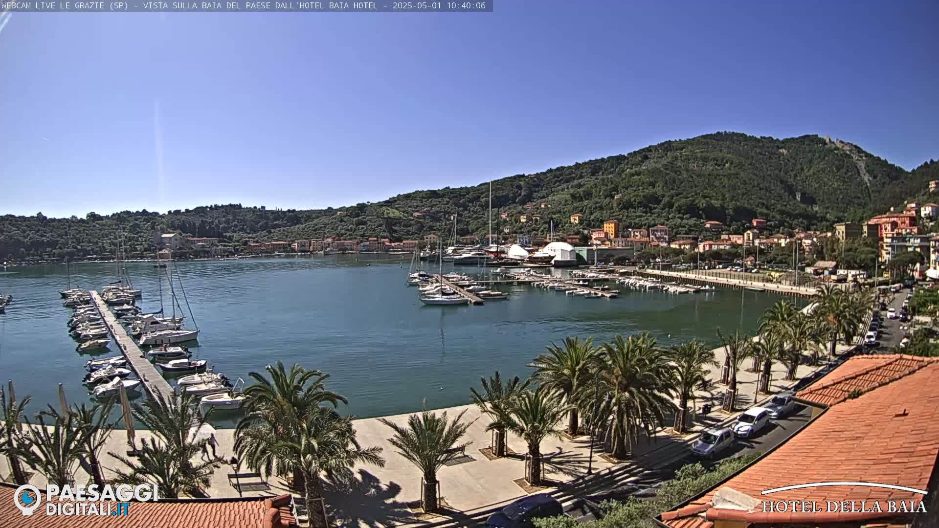 A harbor filled with sailboats and yachts is nestled beside a town situated against a lush, green hillside under a clear, sunny sky.