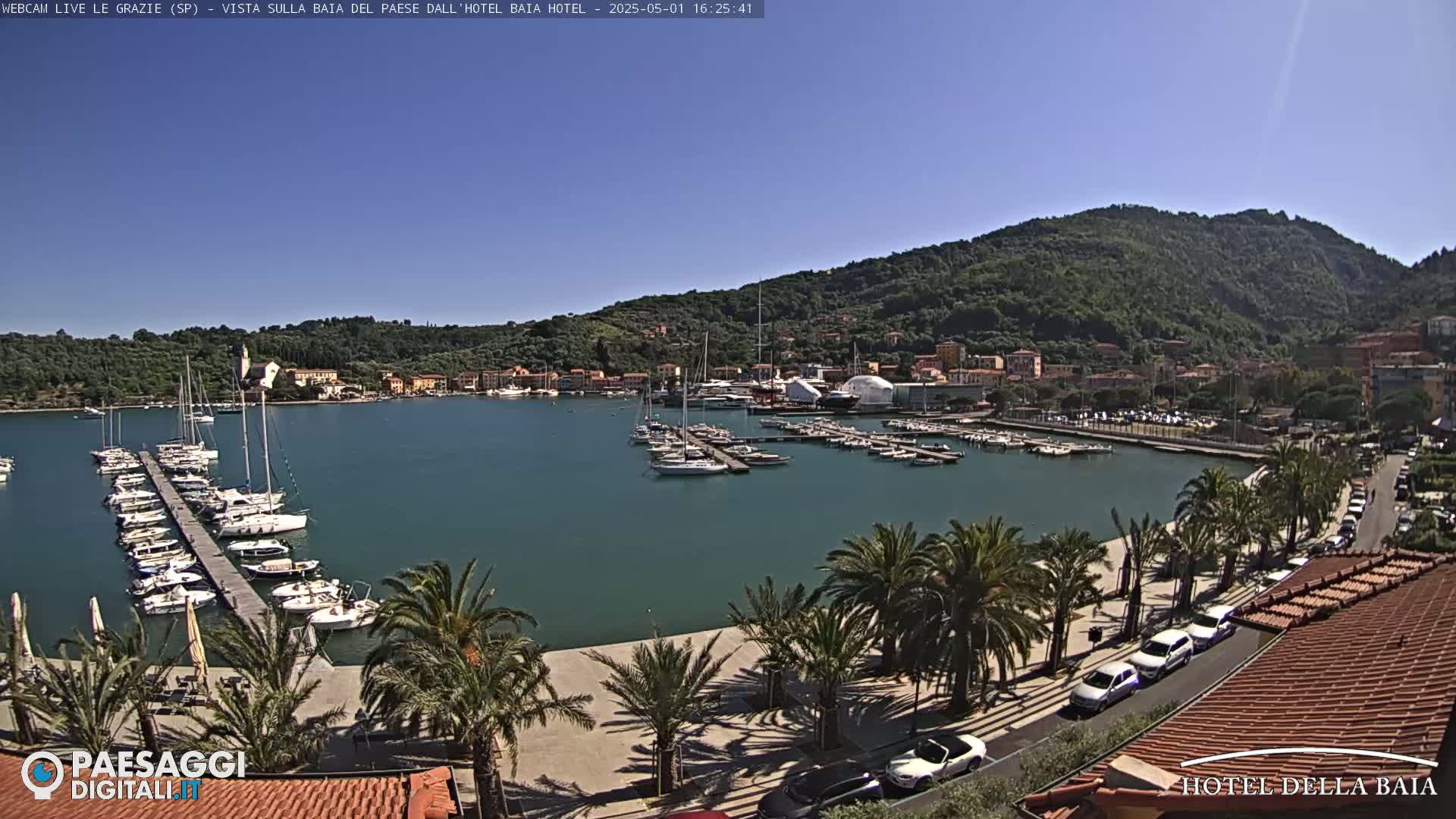 A sunny harbor scene shows a marina filled with sailboats, a town nestled against a verdant hillside, and a palm tree-lined promenade with parked cars.