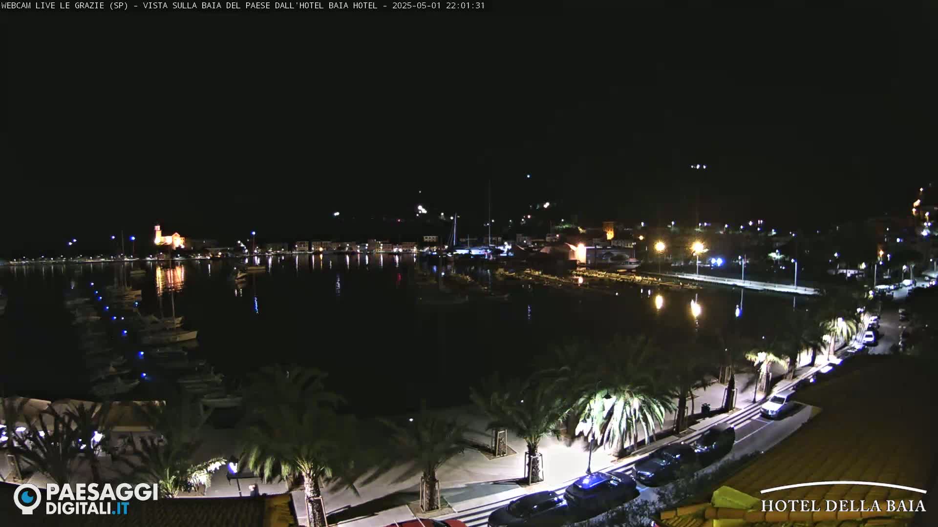 A nighttime view of a harbor filled with boats, lined with palm trees and streetlights, and bordered by buildings under a clear, dark sky.