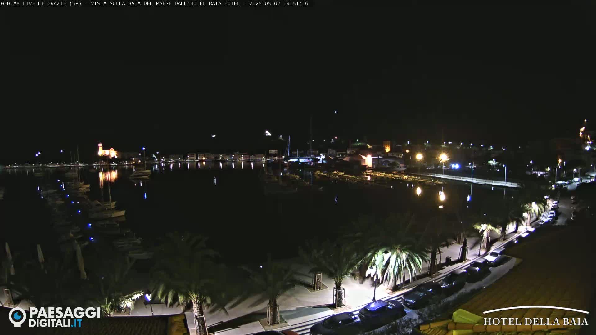 A nighttime view of a harbor filled with boats, a town lit with streetlights, and palm trees lining a waterfront path.