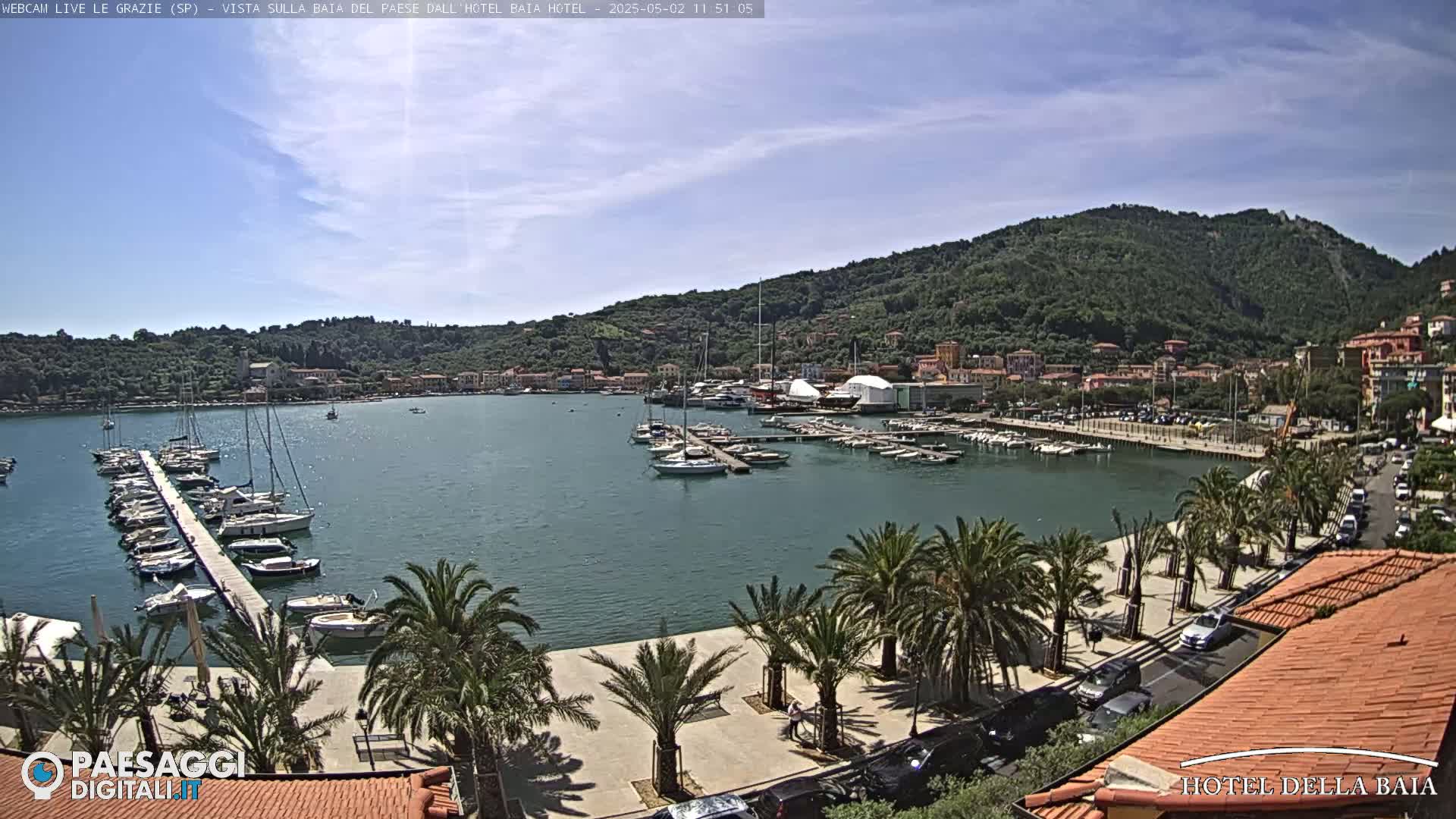 A harbor filled with sailboats and yachts is situated below a hillside town under a mostly sunny sky.