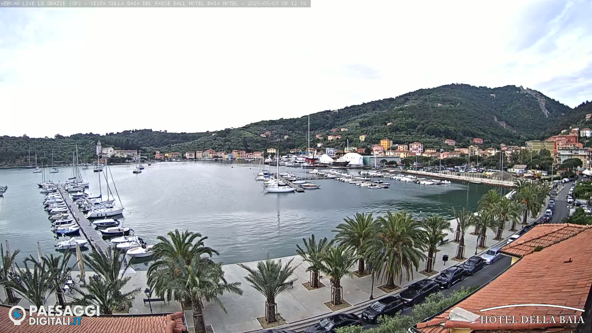 A harbor filled with sailboats is nestled in a town on the coast of a green hill, under a mostly cloudy sky.