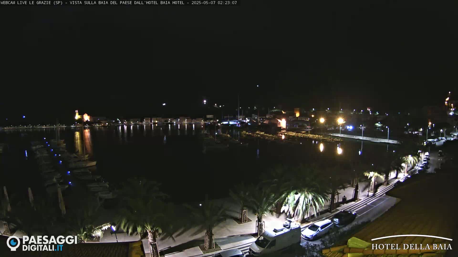A nighttime view of a harbor filled with boats, lined with palm trees and illuminated buildings.