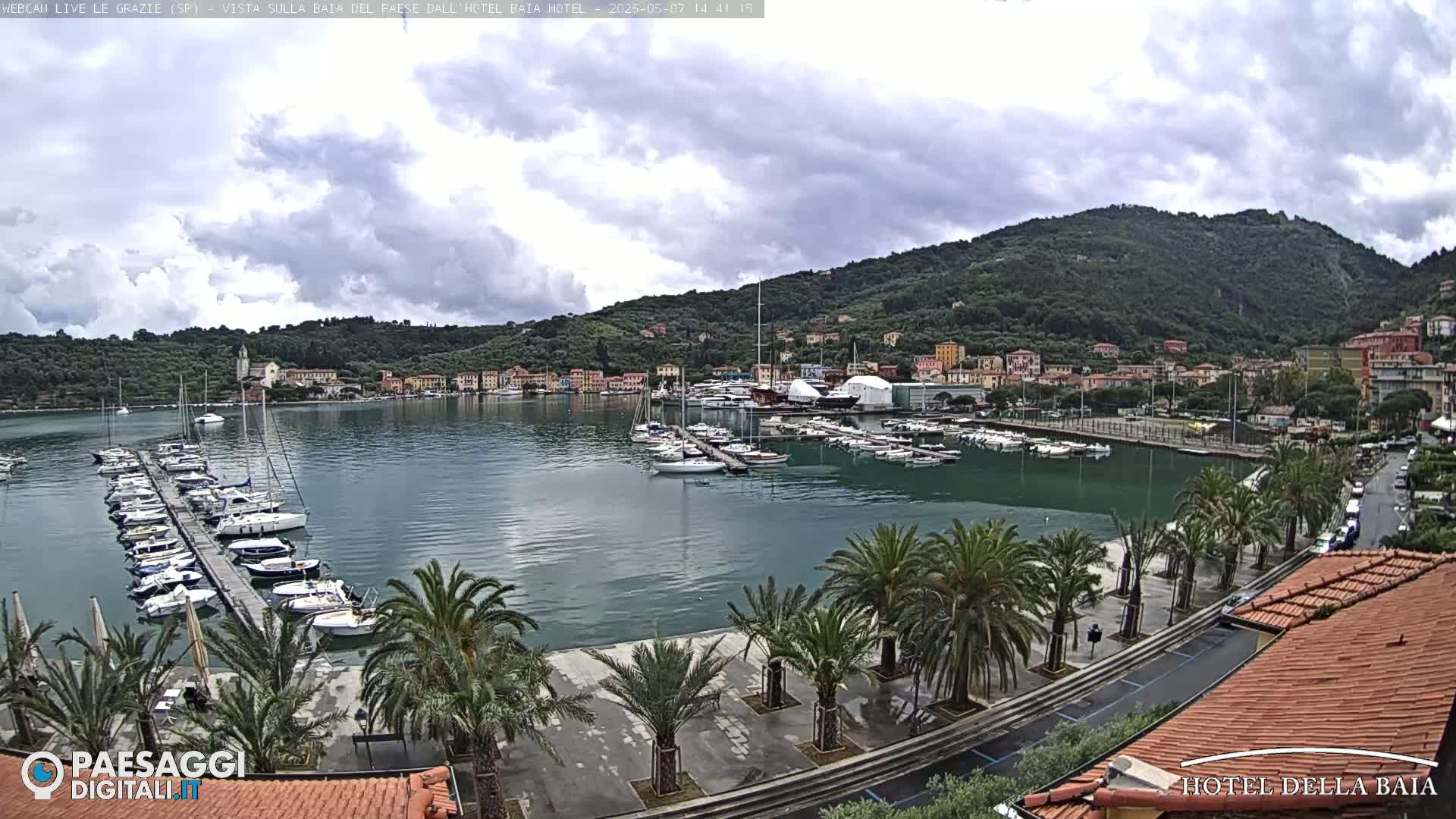 A harbor filled with numerous boats is nestled below a verdant hill under a partly cloudy sky.