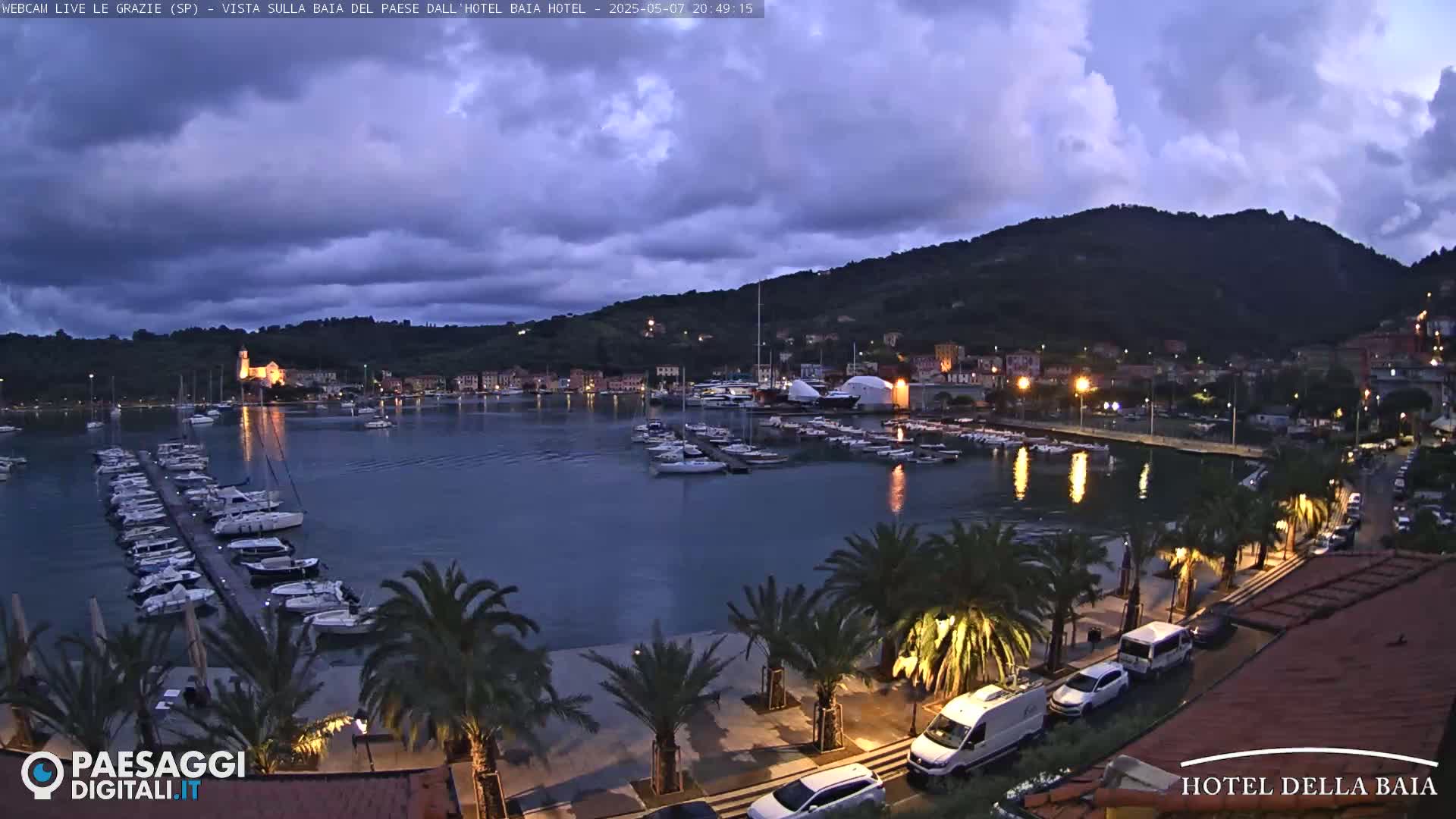 A harbor filled with boats at dusk under a partly cloudy sky, with palm trees lining a paved walkway along the waterfront.