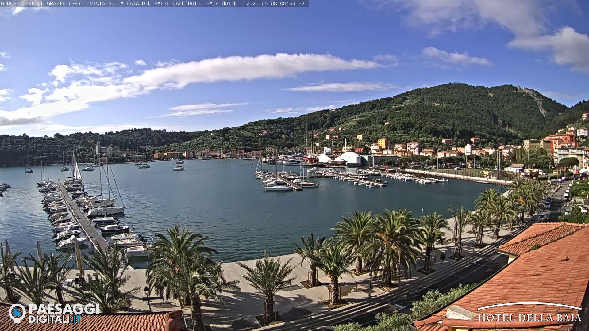 A harbor filled with sailboats and yachts is nestled in a bay, surrounded by palm trees, buildings, and a hillside under a mostly sunny sky with a few clouds.