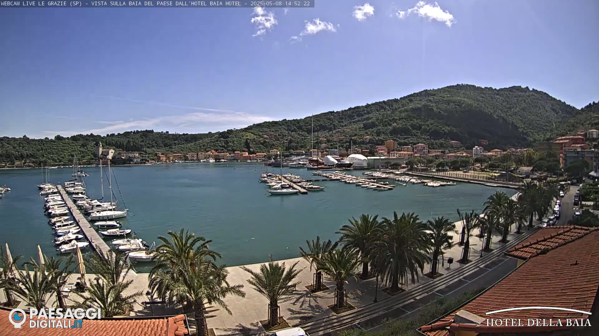 A harbor filled with boats is situated below a hill covered in green vegetation, under a mostly sunny sky.