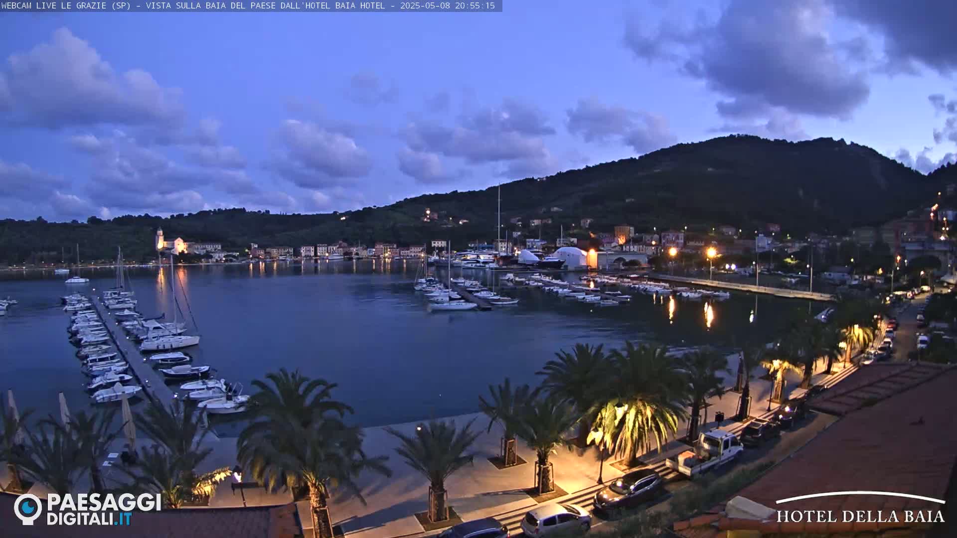 A harbor filled with boats at dusk, under a partly cloudy sky, is lined with palm trees and lit walkways.