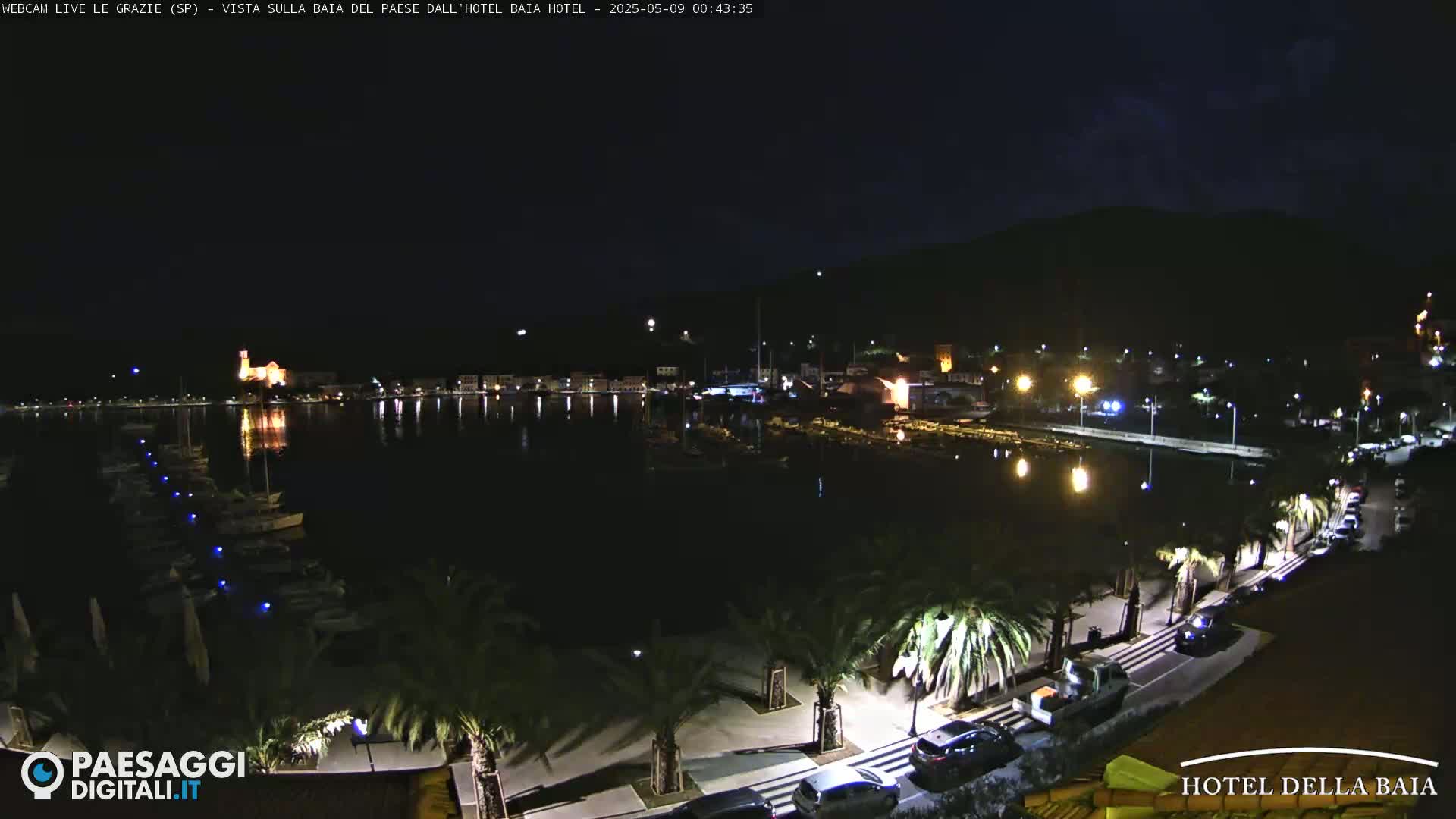 A nighttime view of a harbor town with boats docked, palm trees lining a waterfront promenade, and cars parked along the road, under a clear, dark sky.