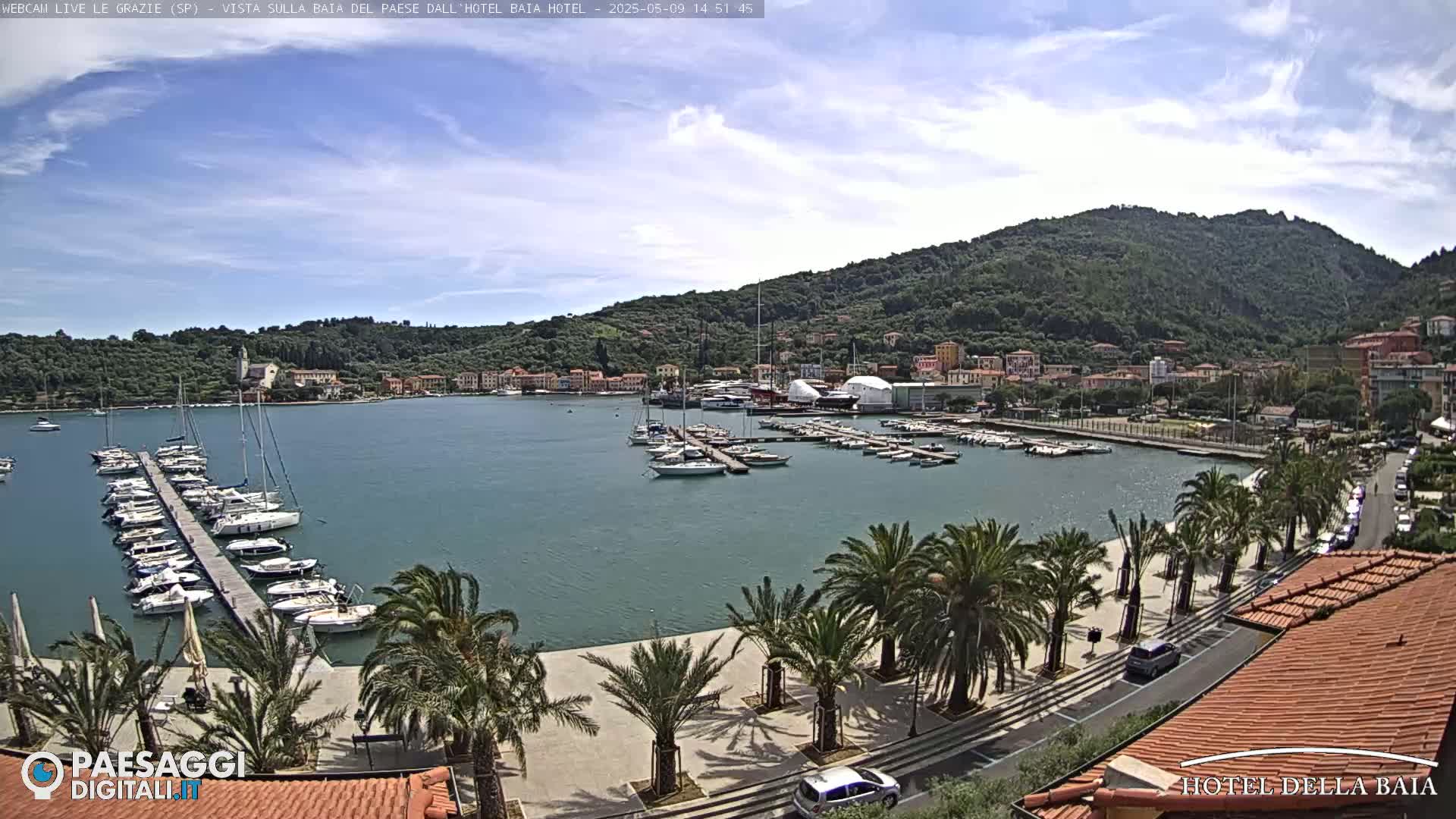 A harbor filled with sailboats and yachts is situated below a hillside town under a mostly sunny sky.