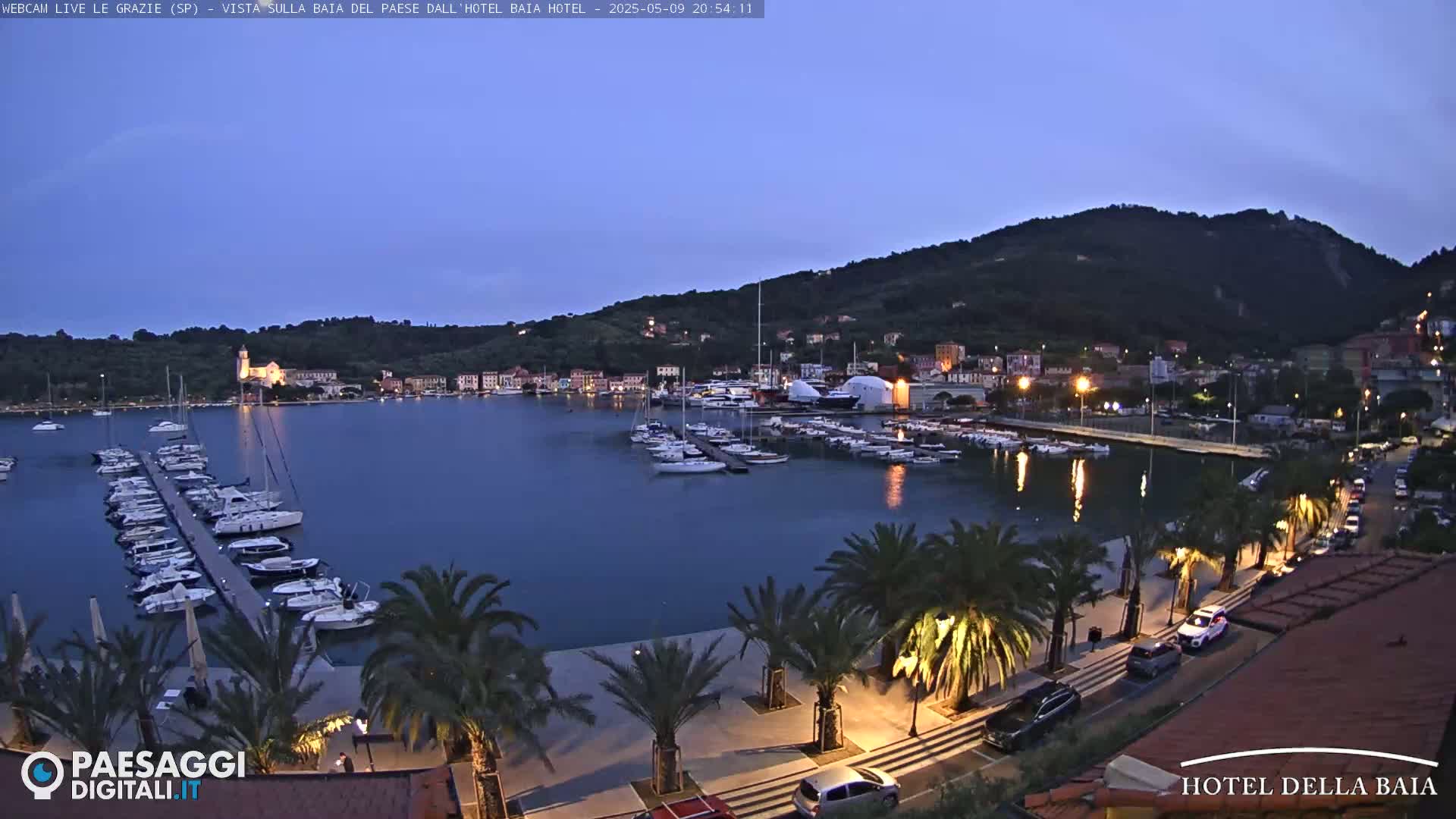 A twilight view of a harbor filled with boats, a town nestled against a hillside, and a palm tree-lined promenade with cars parked along the side.