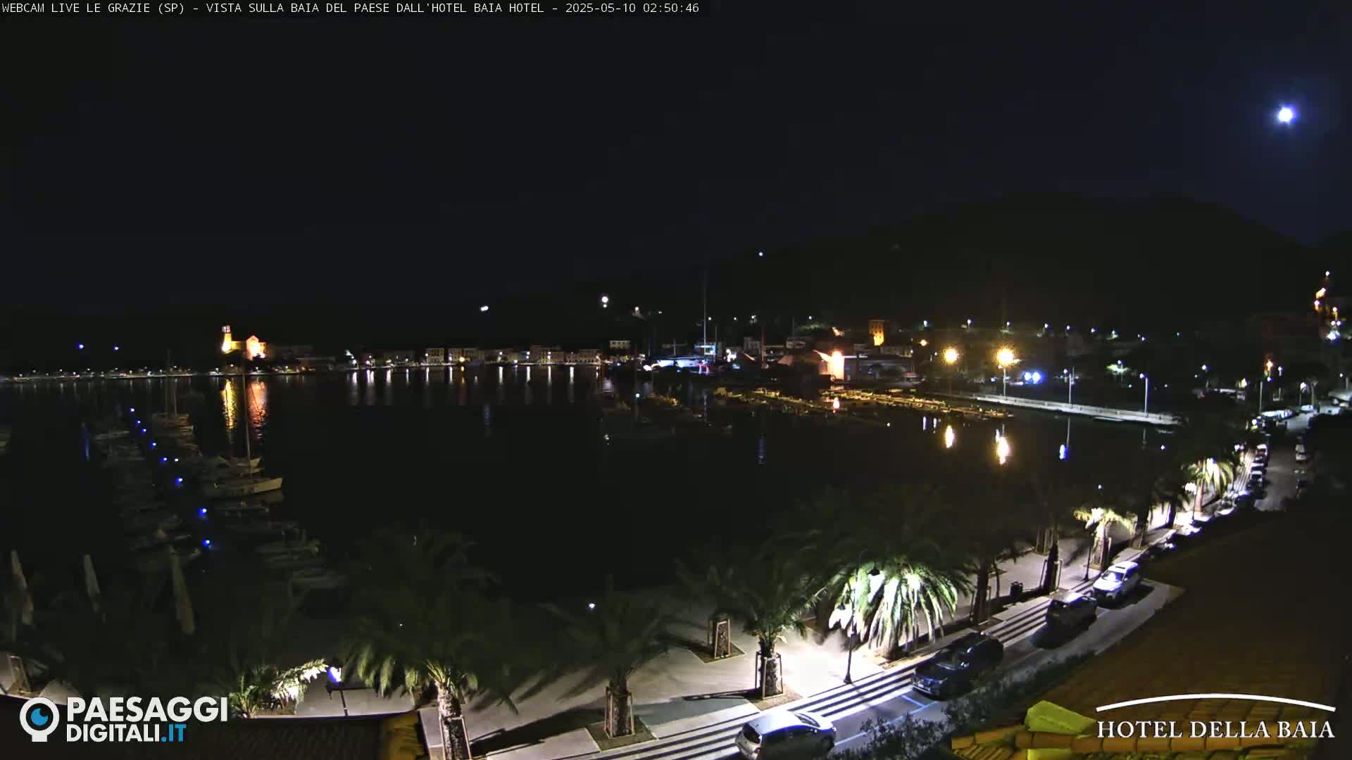 A nighttime view of a calm harbor with boats, palm trees lining a paved walkway next to it, and a town illuminated in the background under a clear, moonlit sky.