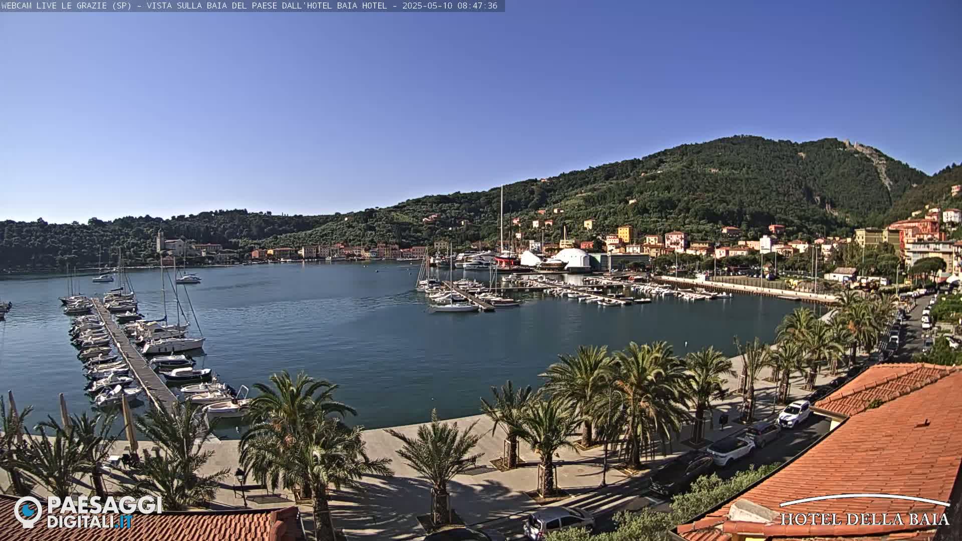A harbor filled with sailboats and yachts is nestled beside a town on a sunny day, with palm trees lining the waterfront promenade.