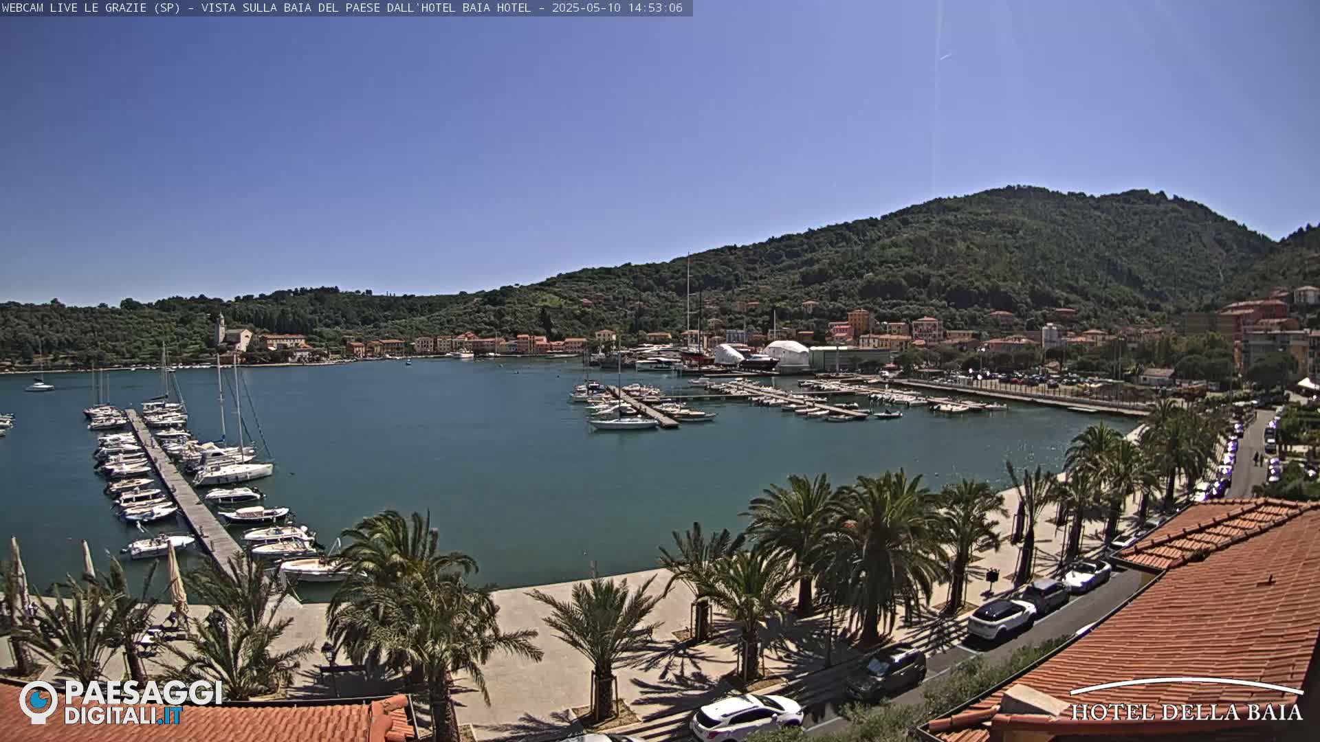 A sunny harbor scene shows numerous boats docked at a pier, palm trees lining a paved walkway next to the water, and a hillside covered in green vegetation in the background.