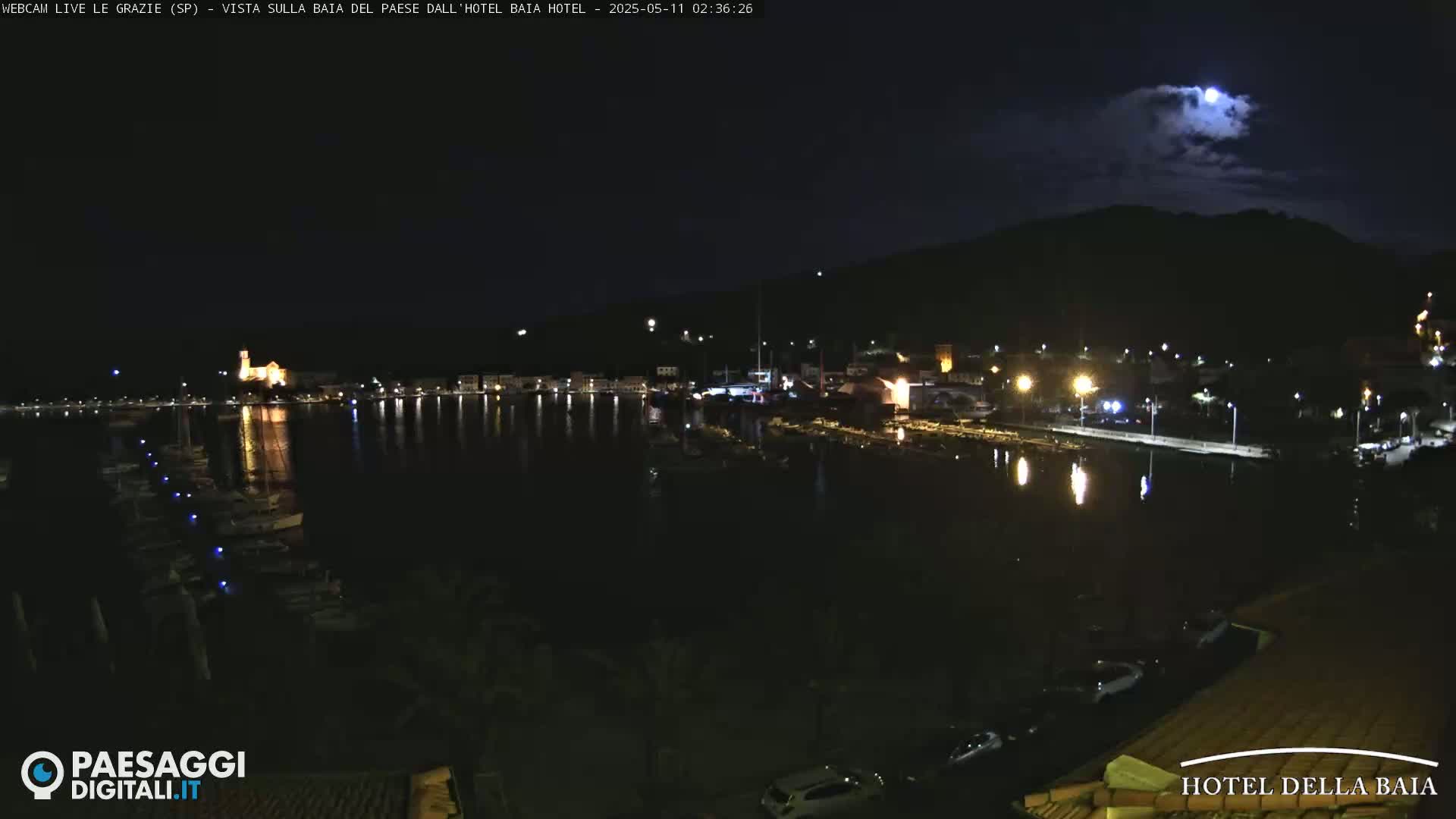 A moonlit night scene shows a harbor with boats and a town illuminated along the waterfront, under a partly cloudy sky.