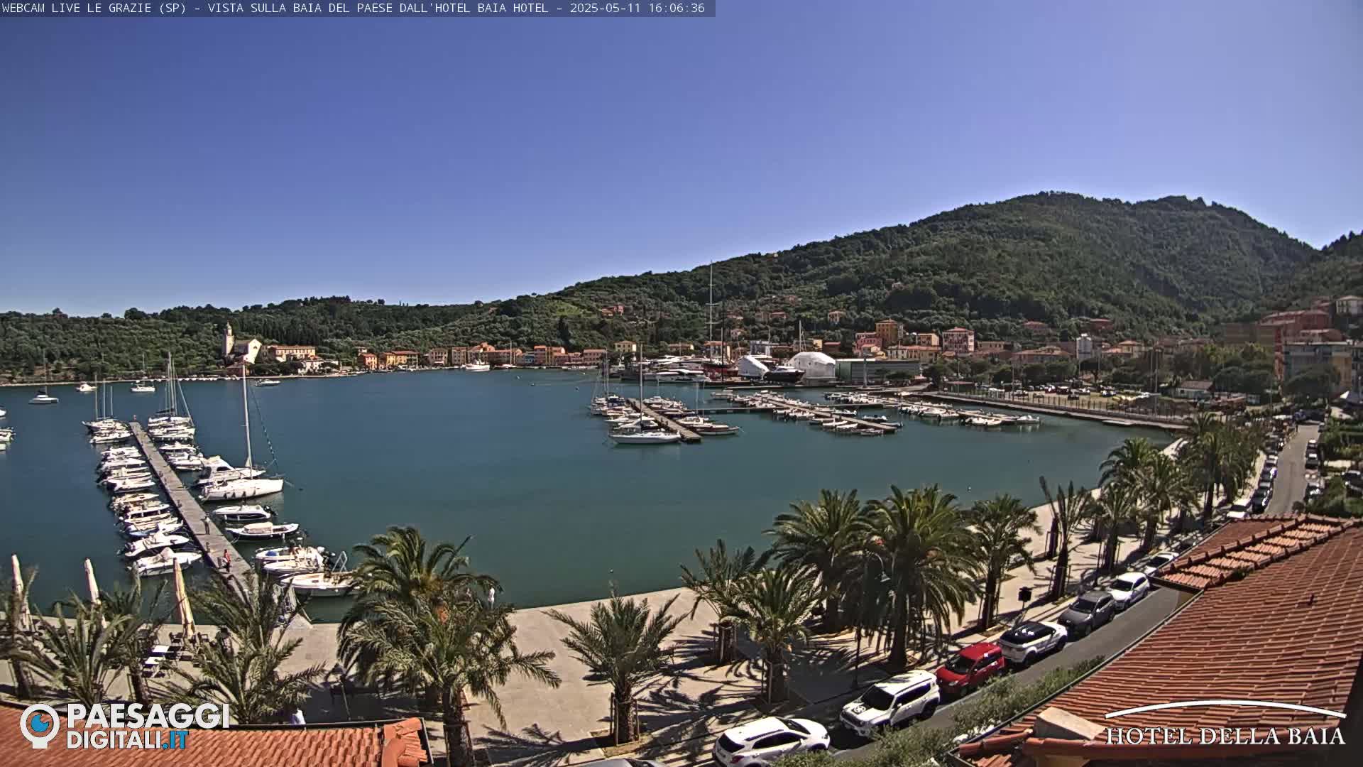 A sunny harbor scene shows a calm body of water filled with numerous boats docked at piers, with palm trees lining a paved area along the shore and buildings on a hillside in the background.