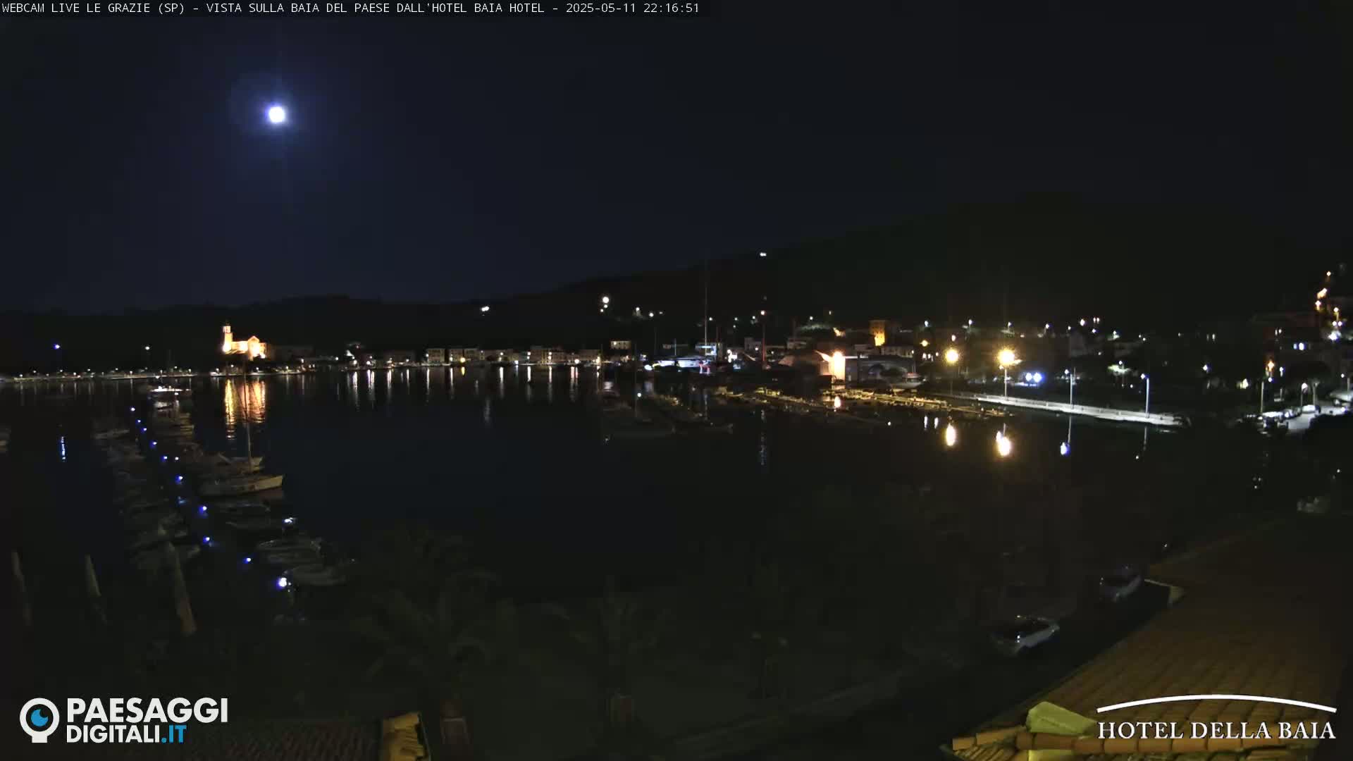 A nighttime view of a harbor with boats, a town illuminated by lights, and a bright moon in a clear sky.