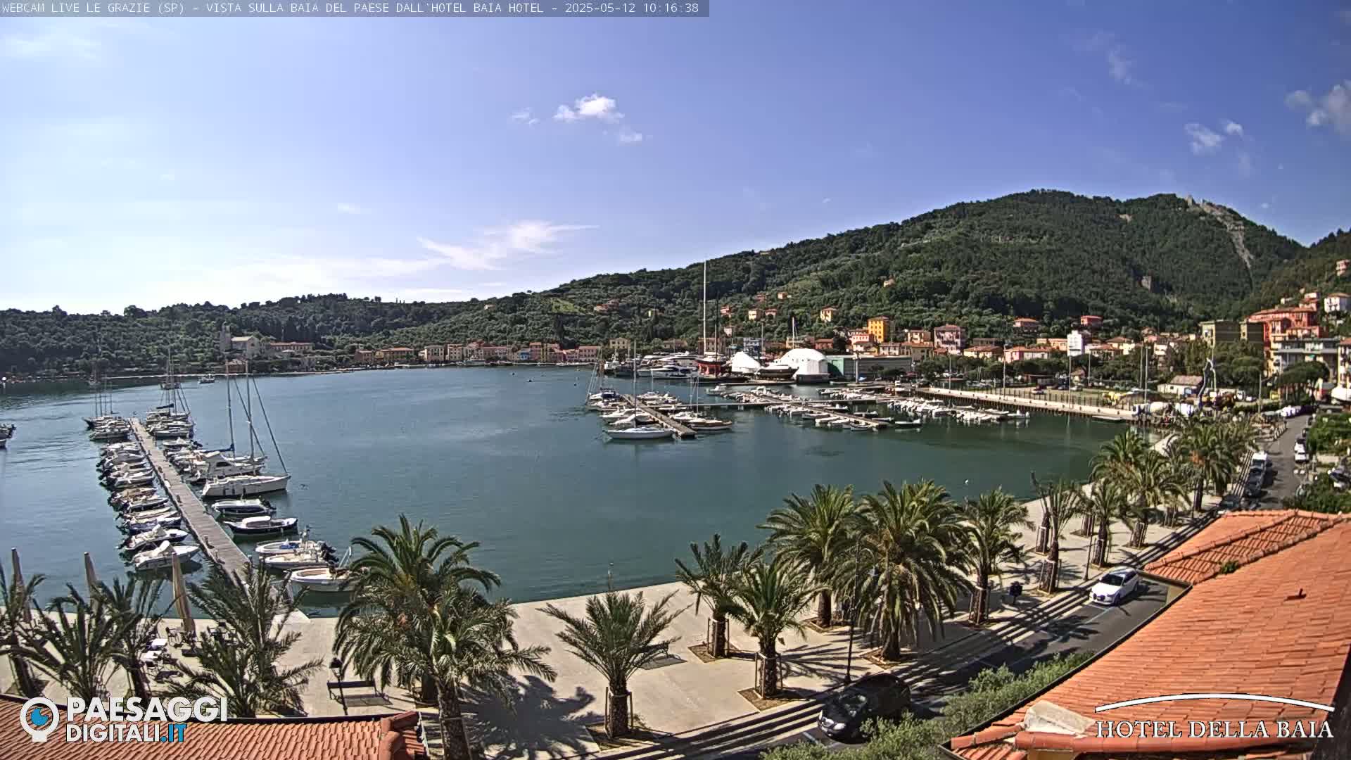 A harbor filled with sailboats and yachts is nestled below a hillside town under a clear blue sky.