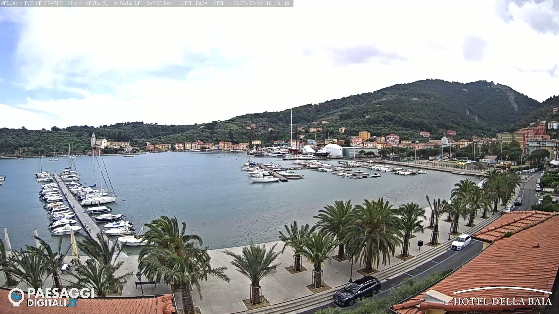 A harbor filled with boats is situated below a hillside town, under a partly cloudy sky.