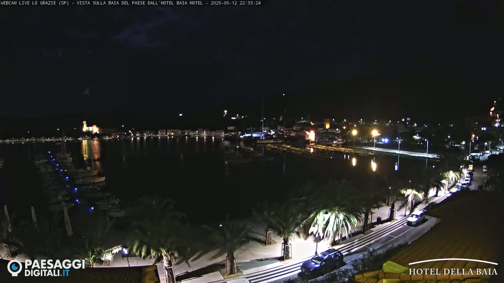 A nighttime view of a harbor filled with boats, a town with illuminated buildings, and a palm tree-lined roadway.