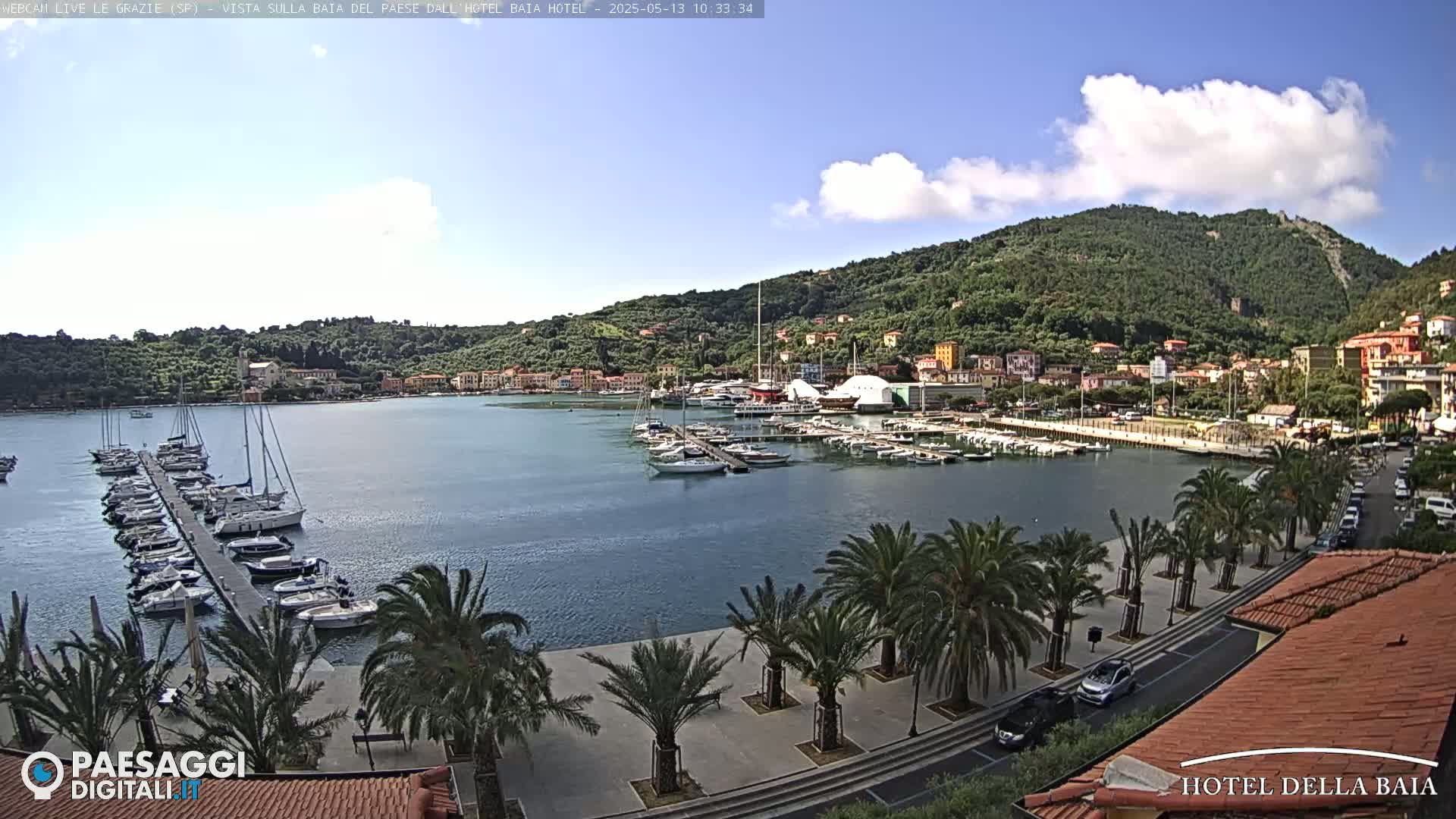 A harbor filled with sailboats is situated below a hillside town under a partly cloudy sky.