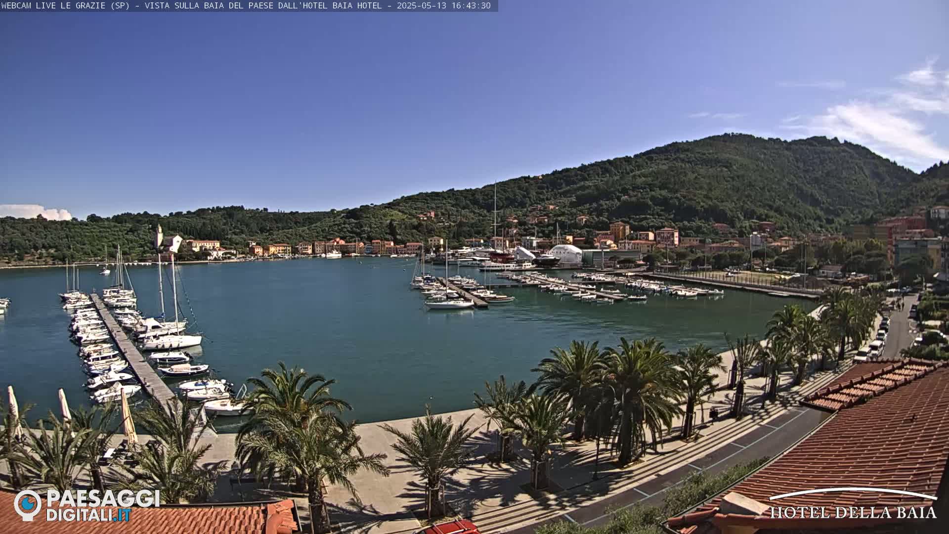 A harbor filled with sailboats and yachts is nestled beside a town situated at the base of a lush green hill under a clear blue sky.