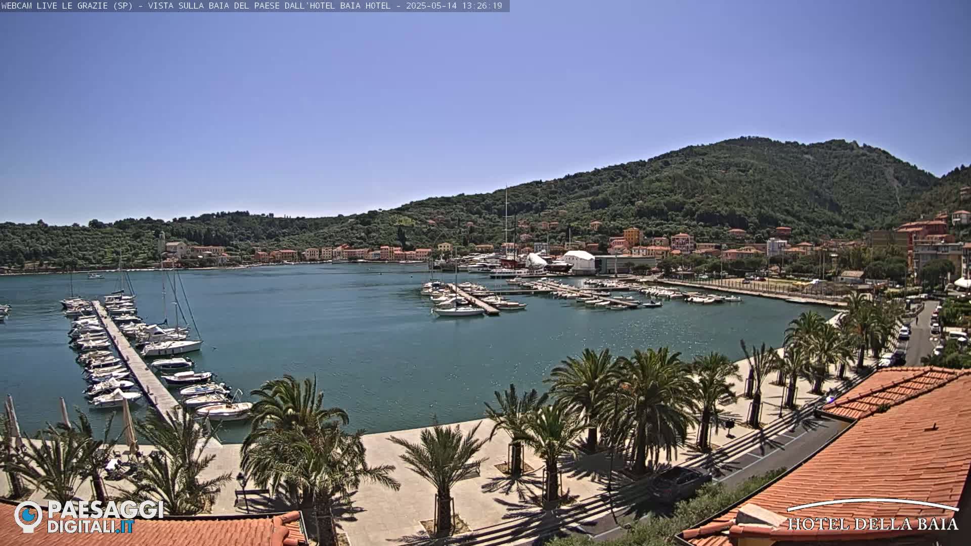 A sunny harbor scene shows a marina filled with sailboats and yachts, a waterfront promenade lined with palm trees, and a hillside town in the background.
