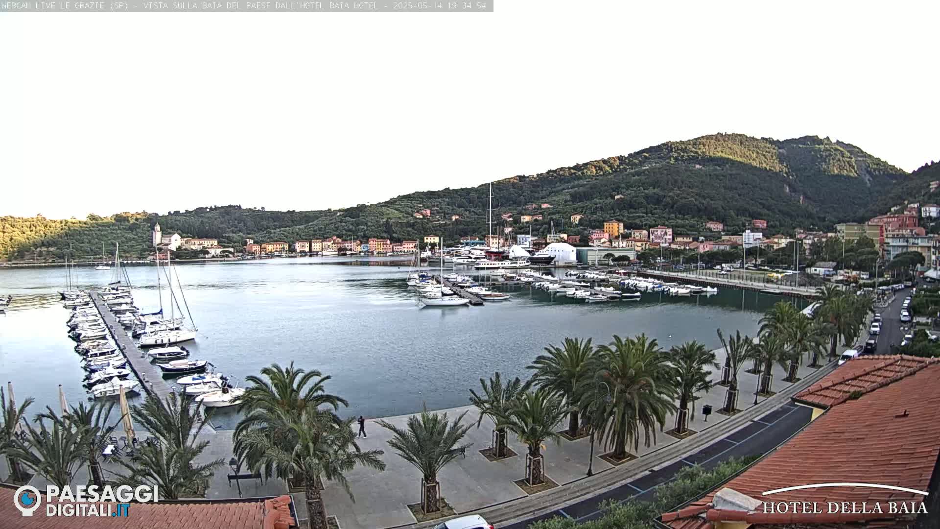 A calm harbor filled with sailboats is nestled beside a town situated at the base of a verdant hill.