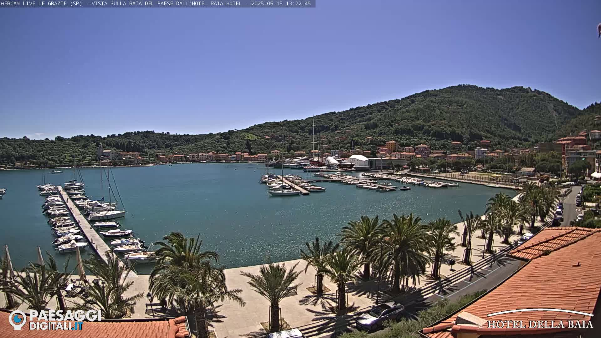 A sunny harbor scene shows a marina filled with boats, a waterfront promenade lined with palm trees, and a hillside town in the background.