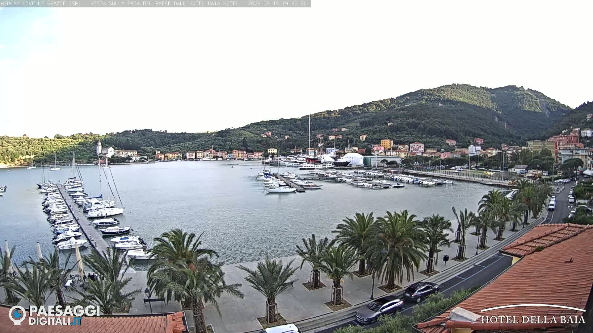 A calm harbor filled with boats is surrounded by a town nestled against a green hillside under a mostly clear sky.