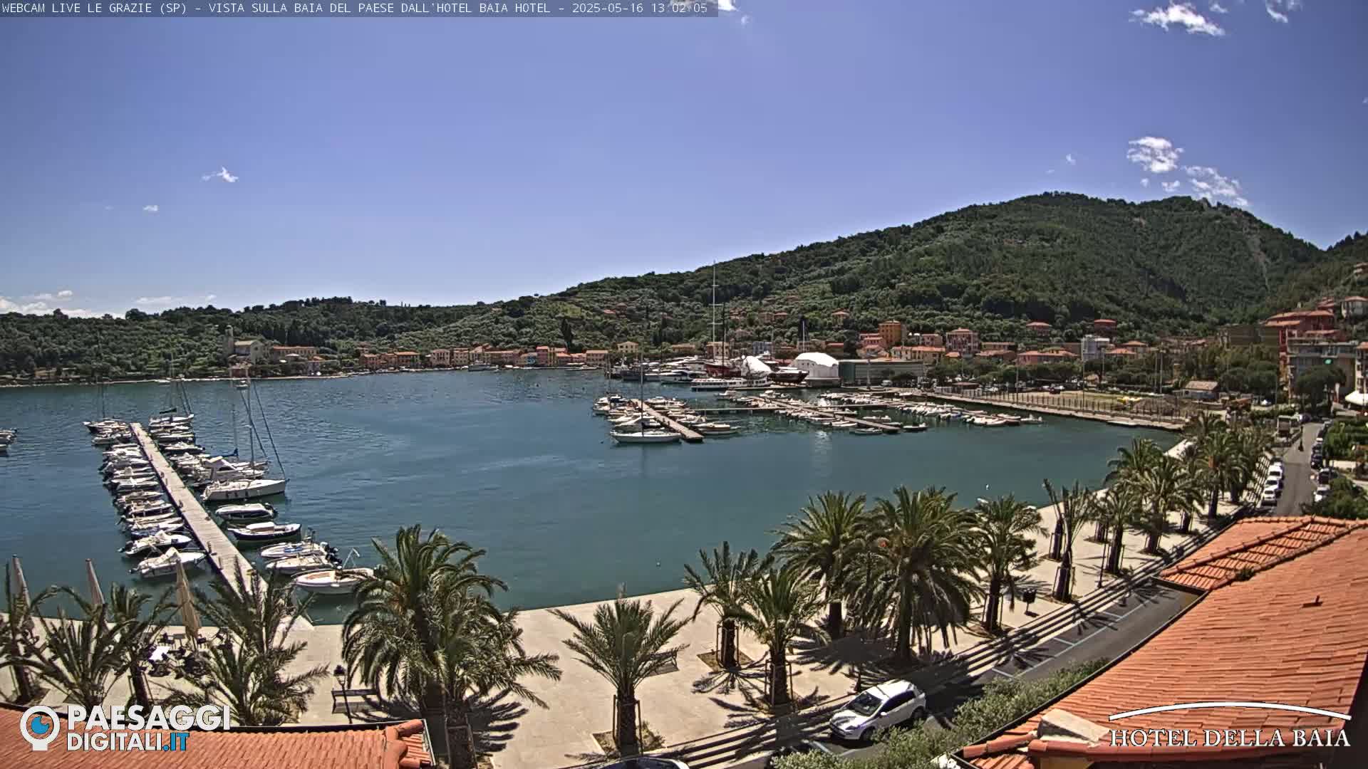 A harbor filled with boats is nestled below a verdant hillside under a clear blue sky.