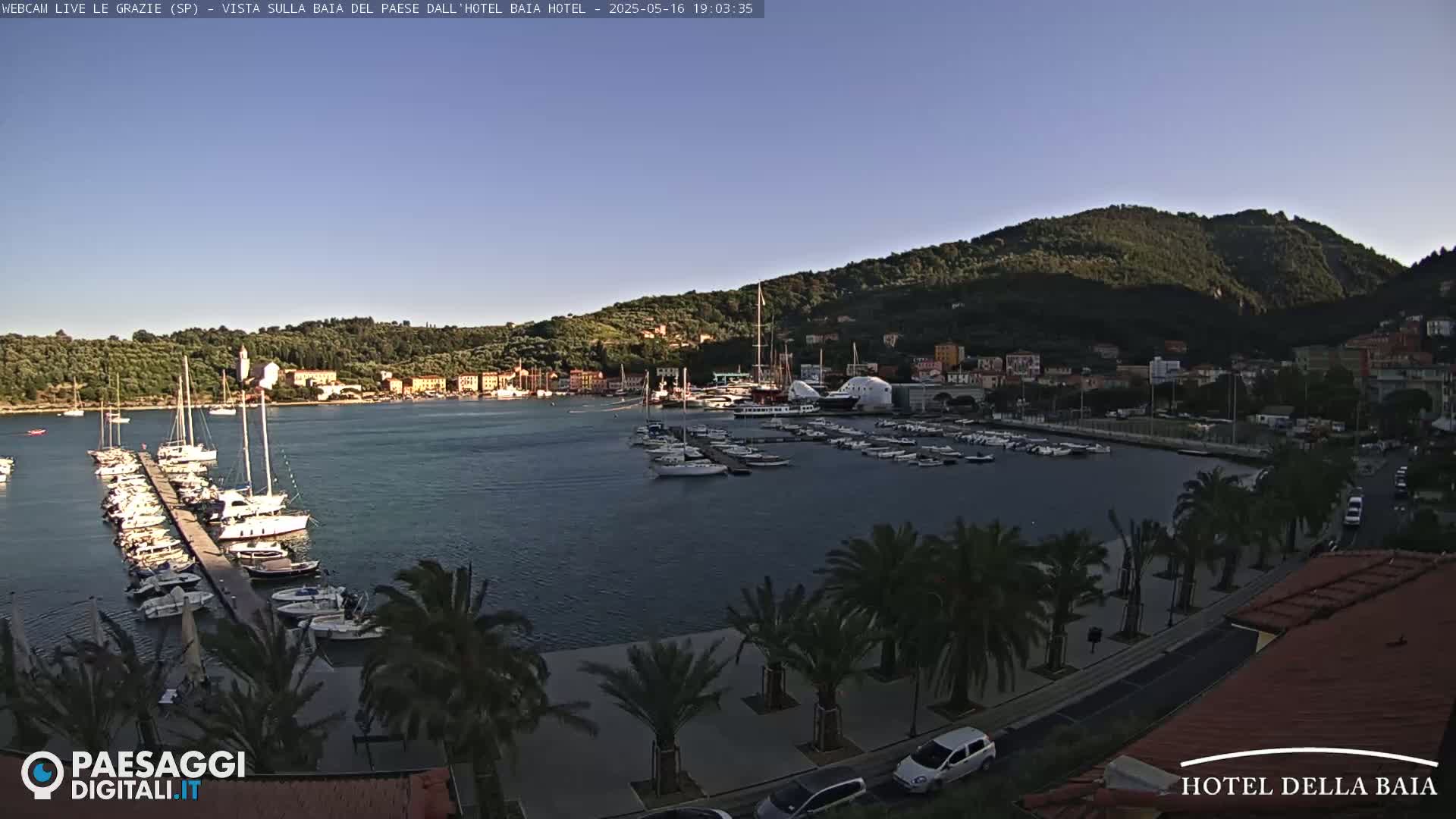 A harbor filled with sailboats and yachts is nestled beneath a clear sky and a verdant hillside.